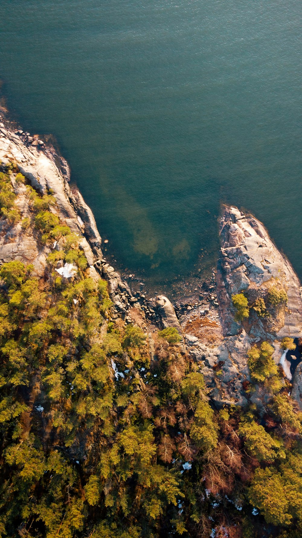 a large body of water surrounded by trees