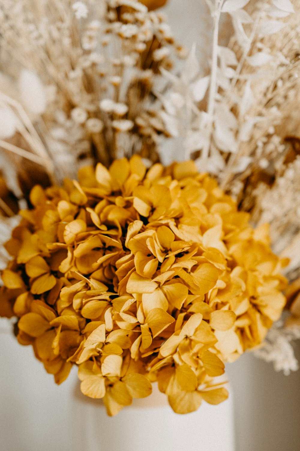 yellow flower in tilt shift lens