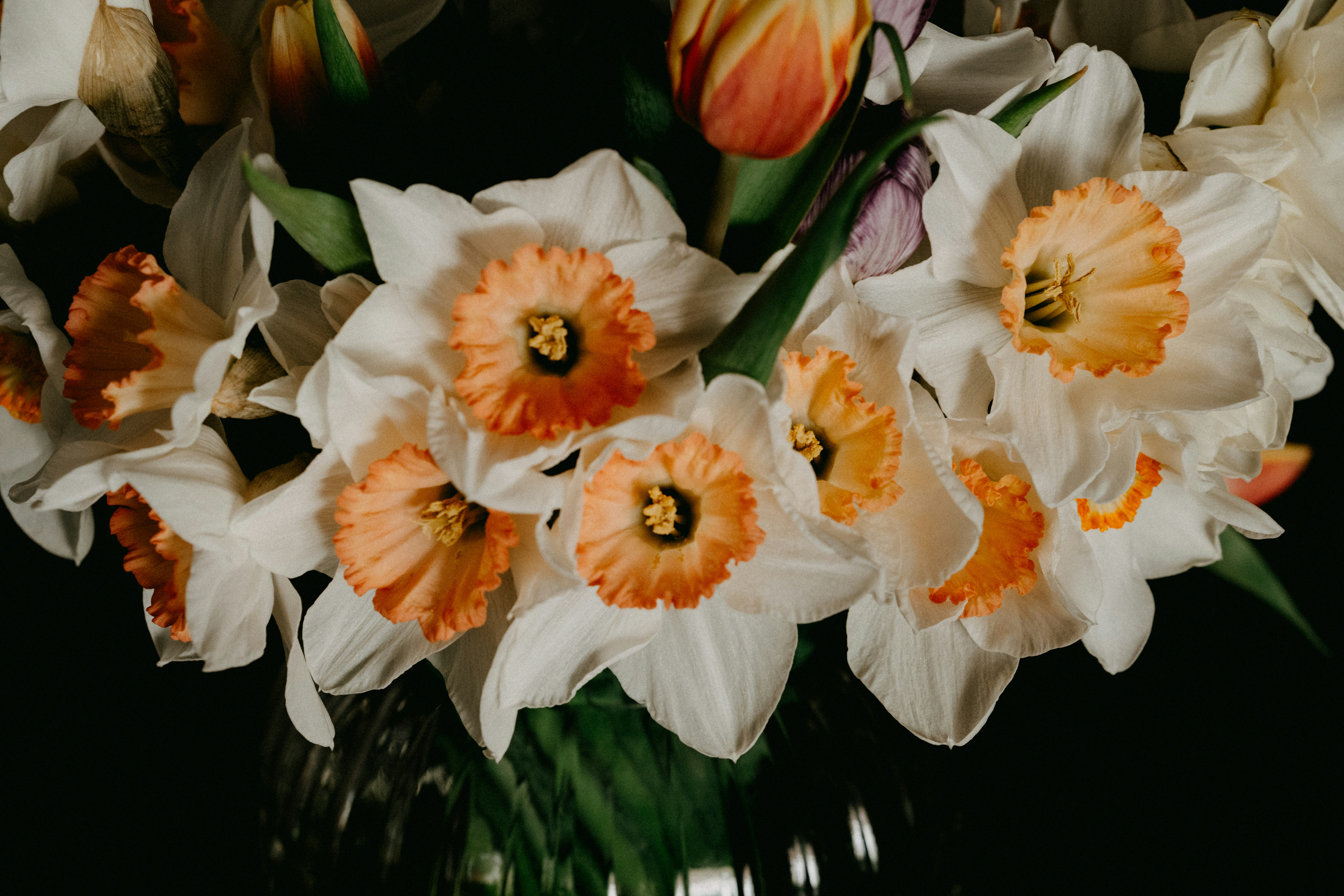 パキラ　白と緑の二重のお花と オレンジと黄色のお花　キャッツアイ写真立て 緑の葉を持つ白とオレンジ色の花の写真 – Unsplashの花の無料画像