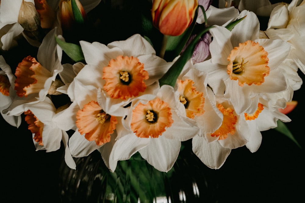 white and orange flowers with green leaves