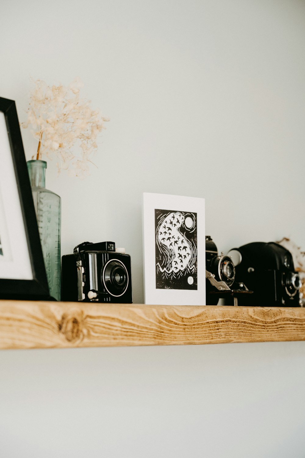 a picture of a camera and a picture of a cat on a shelf