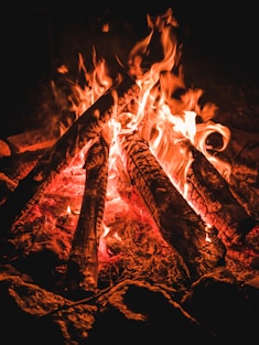 fire in the dark during night time