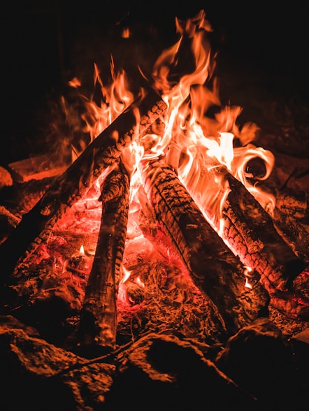 fire in the dark during night time