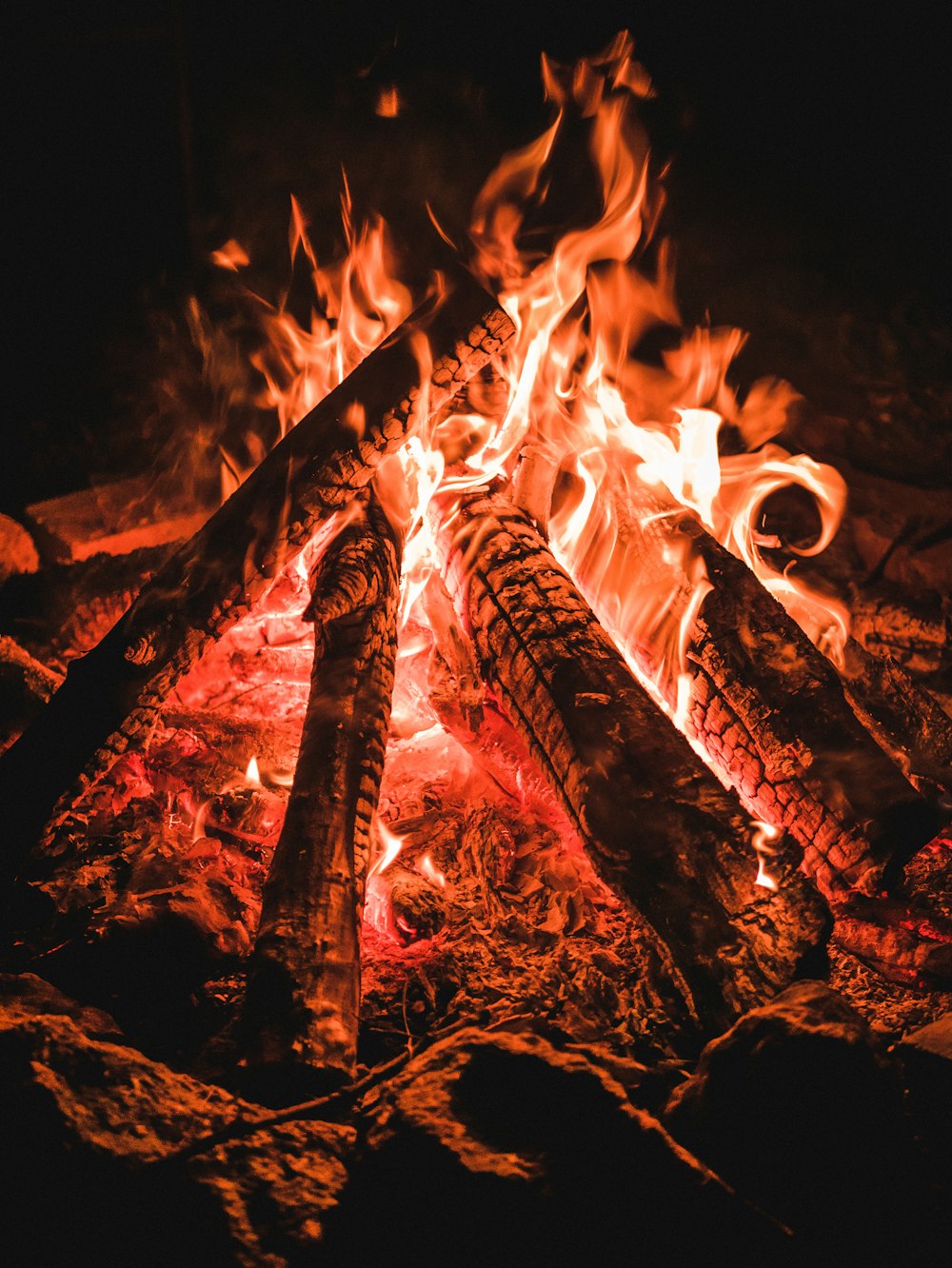 fire in the dark during night time