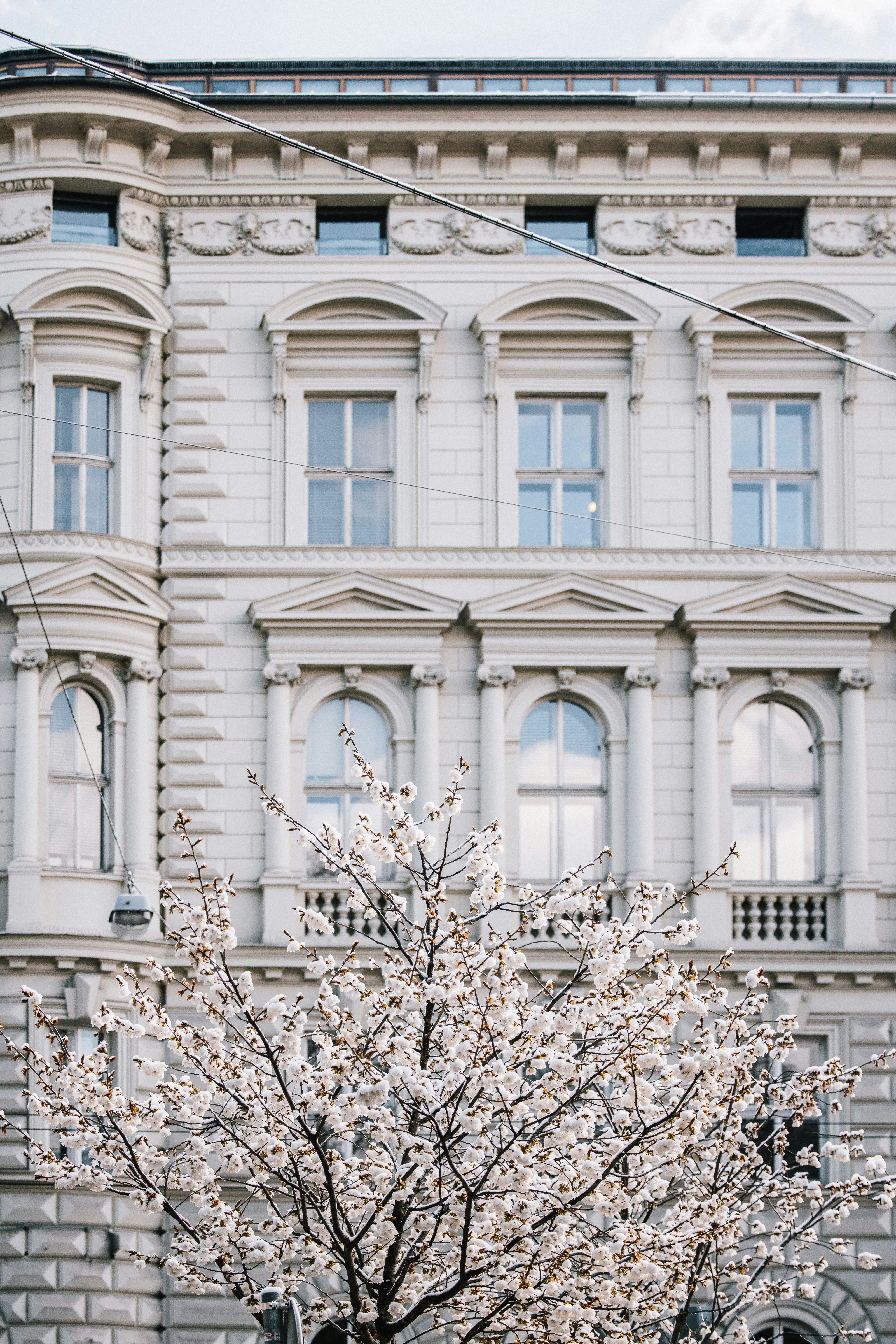 Photo by patresinger