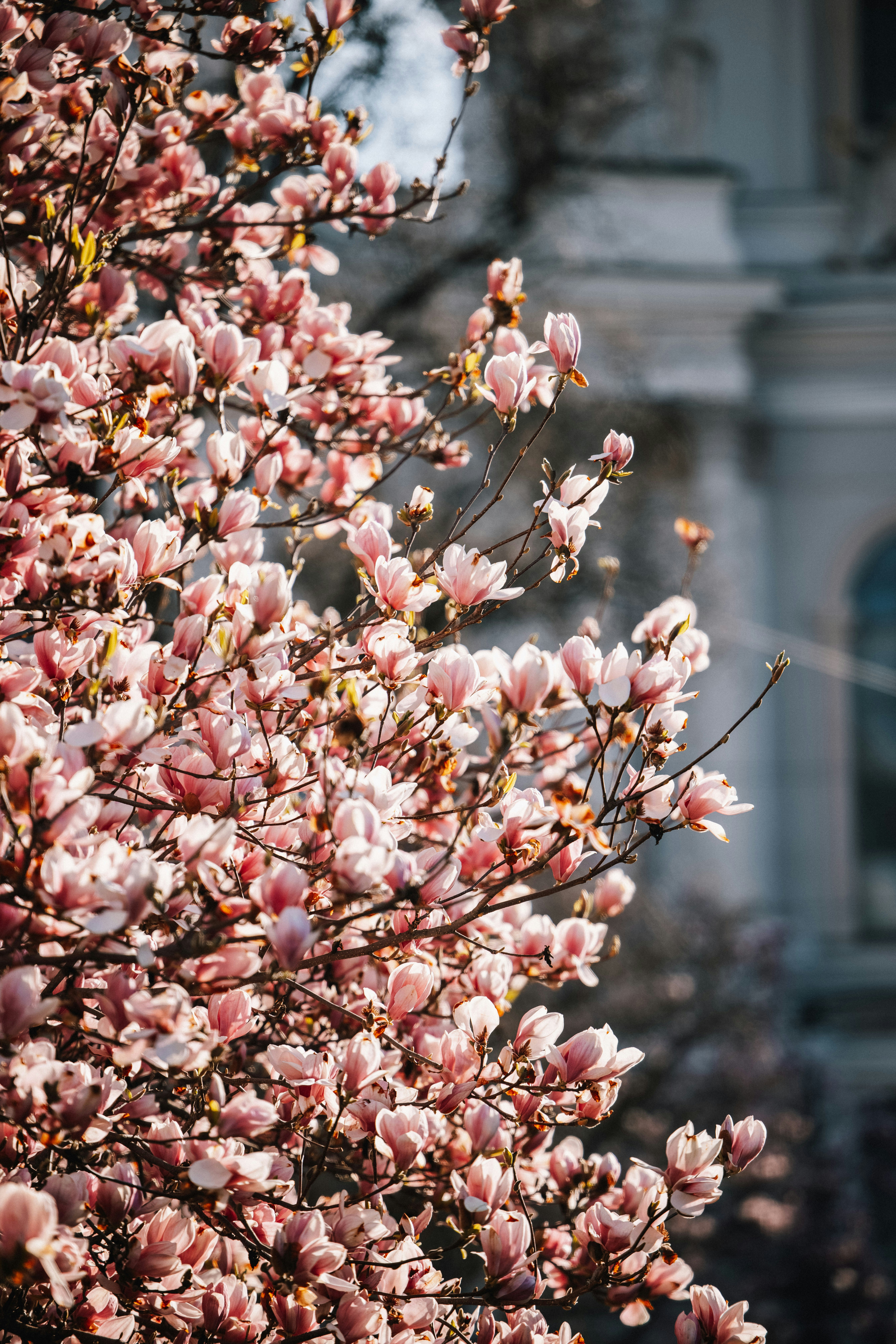 Photo by patresinger