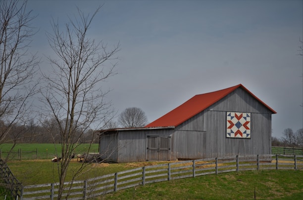 A rustic barn with a grey wooden exterior and a vibrant red roof stands amidst a rural landscape. The barn features a large, colorful quilt-like pattern on its side. Surrounding the barn is a wooden fence, bare trees, and a grassy field, indicating a late autumn or early spring setting.
