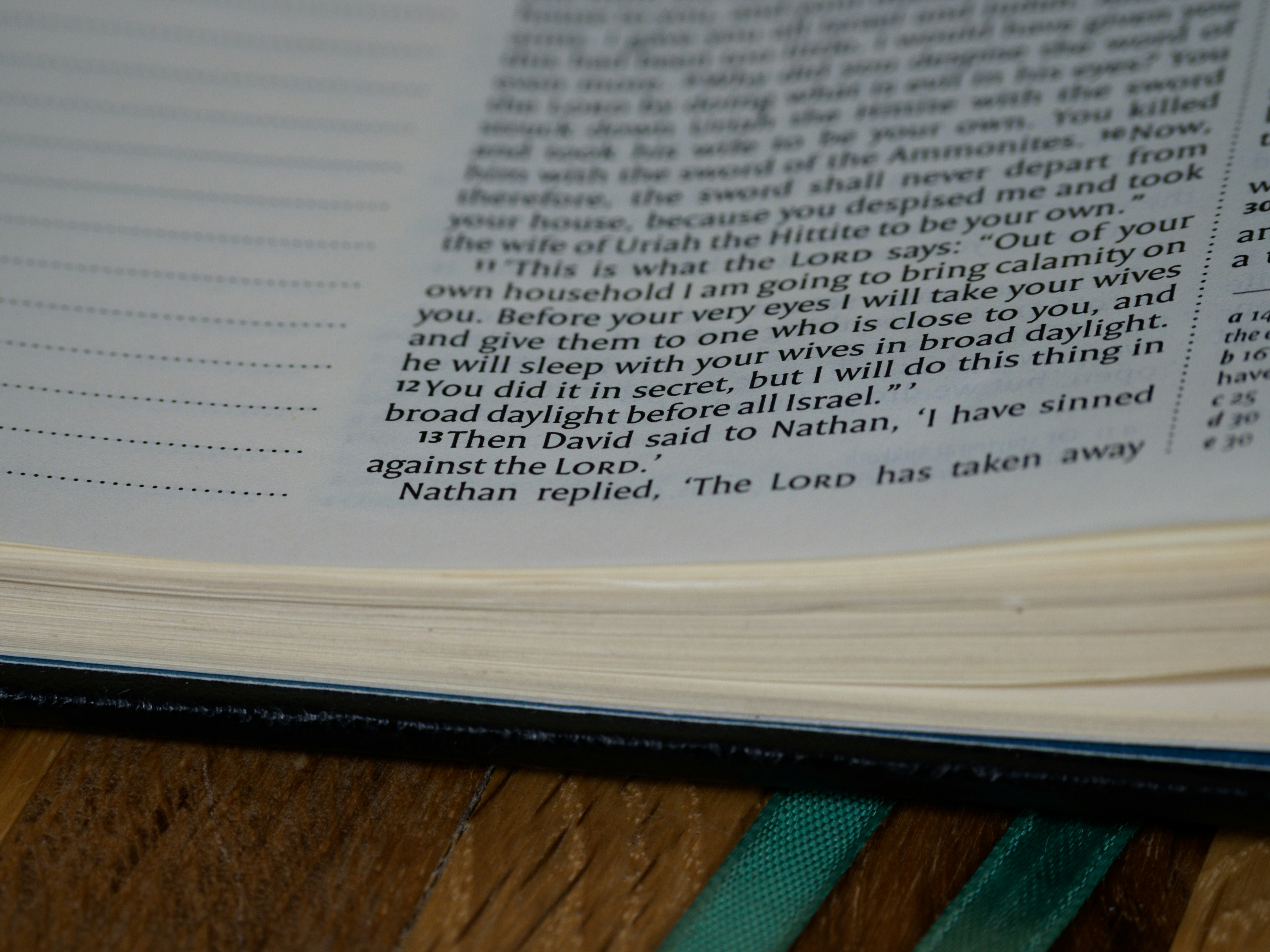 Photo by brett_jordan