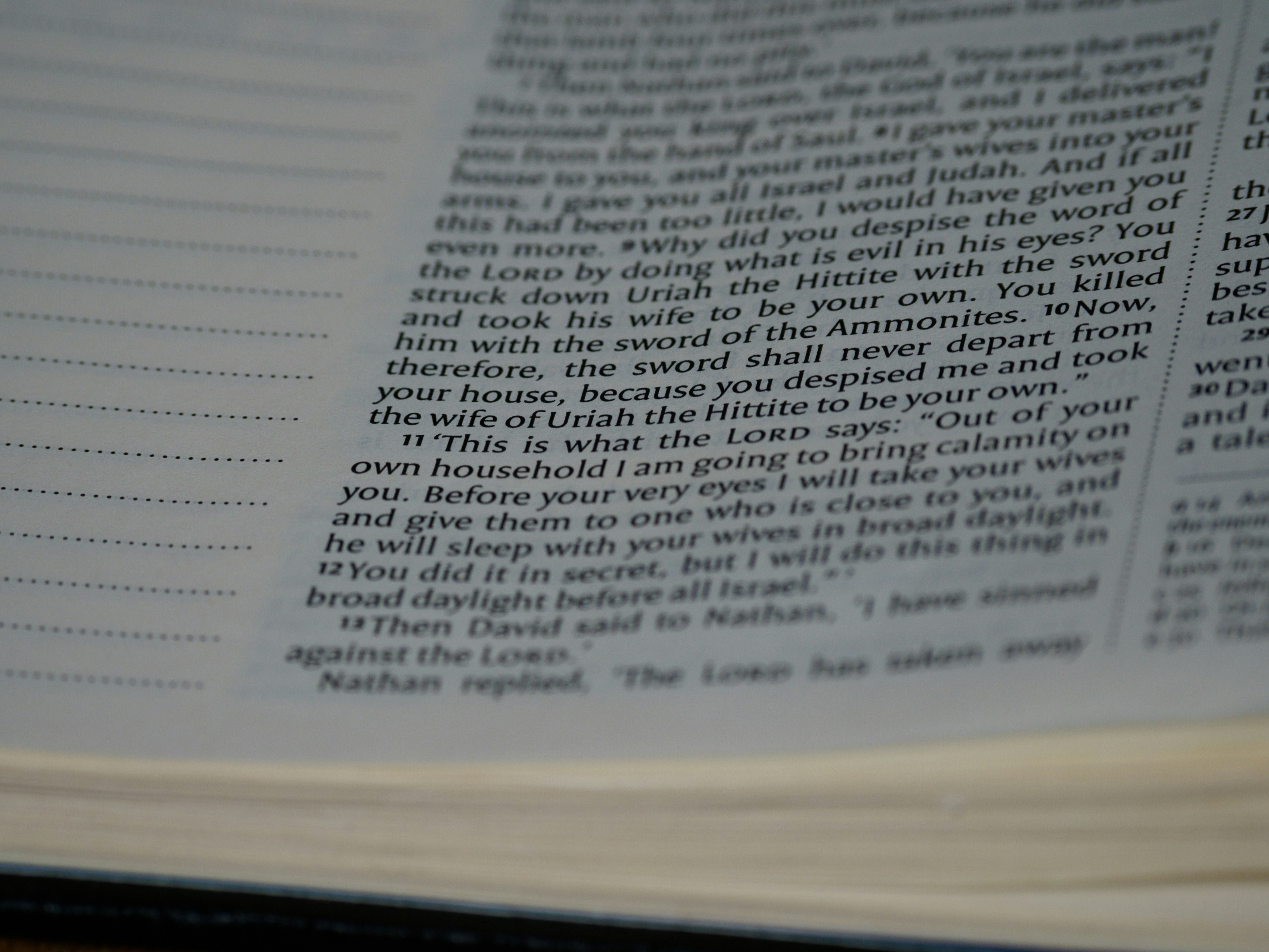 Photo by brett_jordan