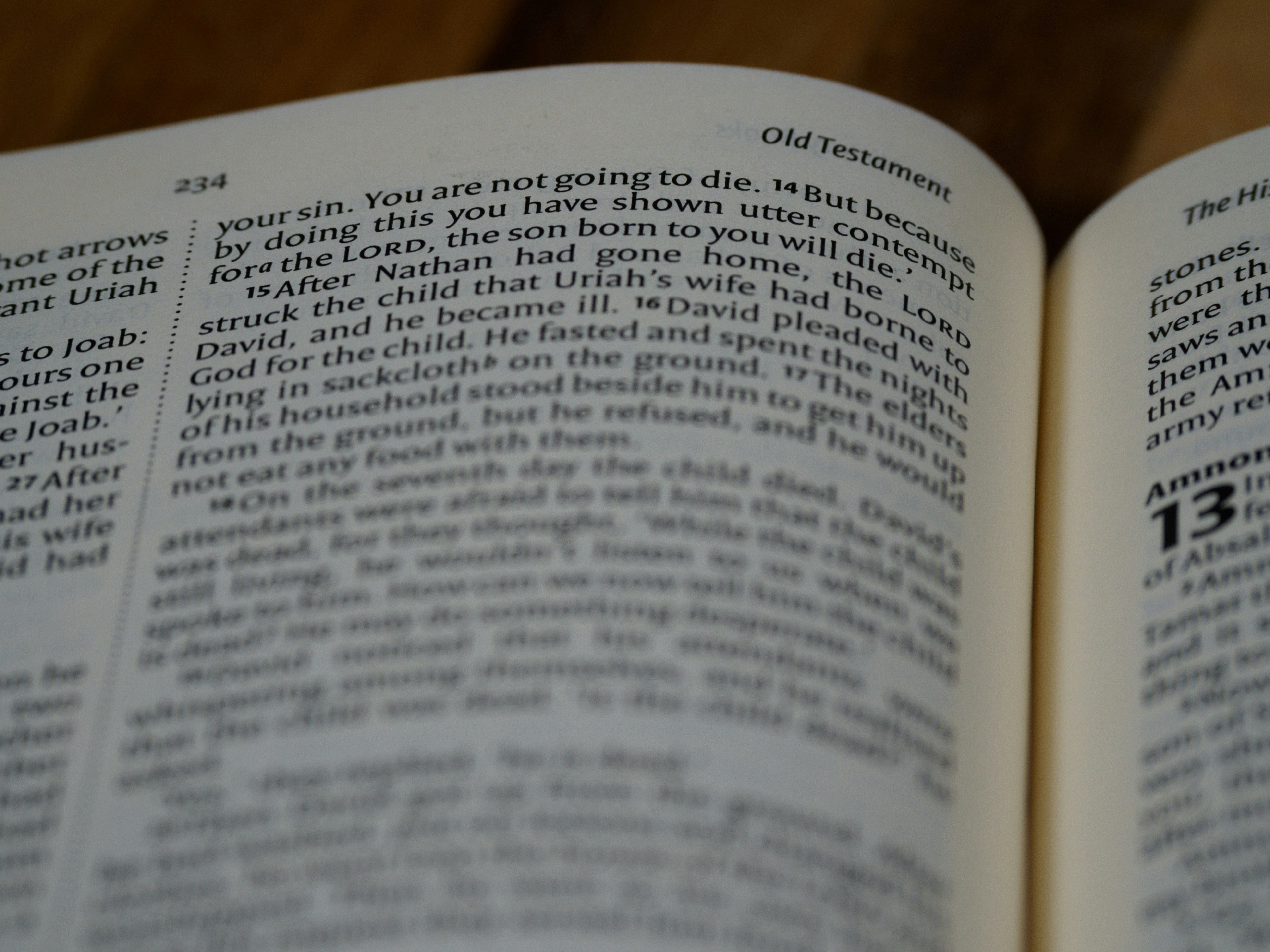 Photo by brett_jordan