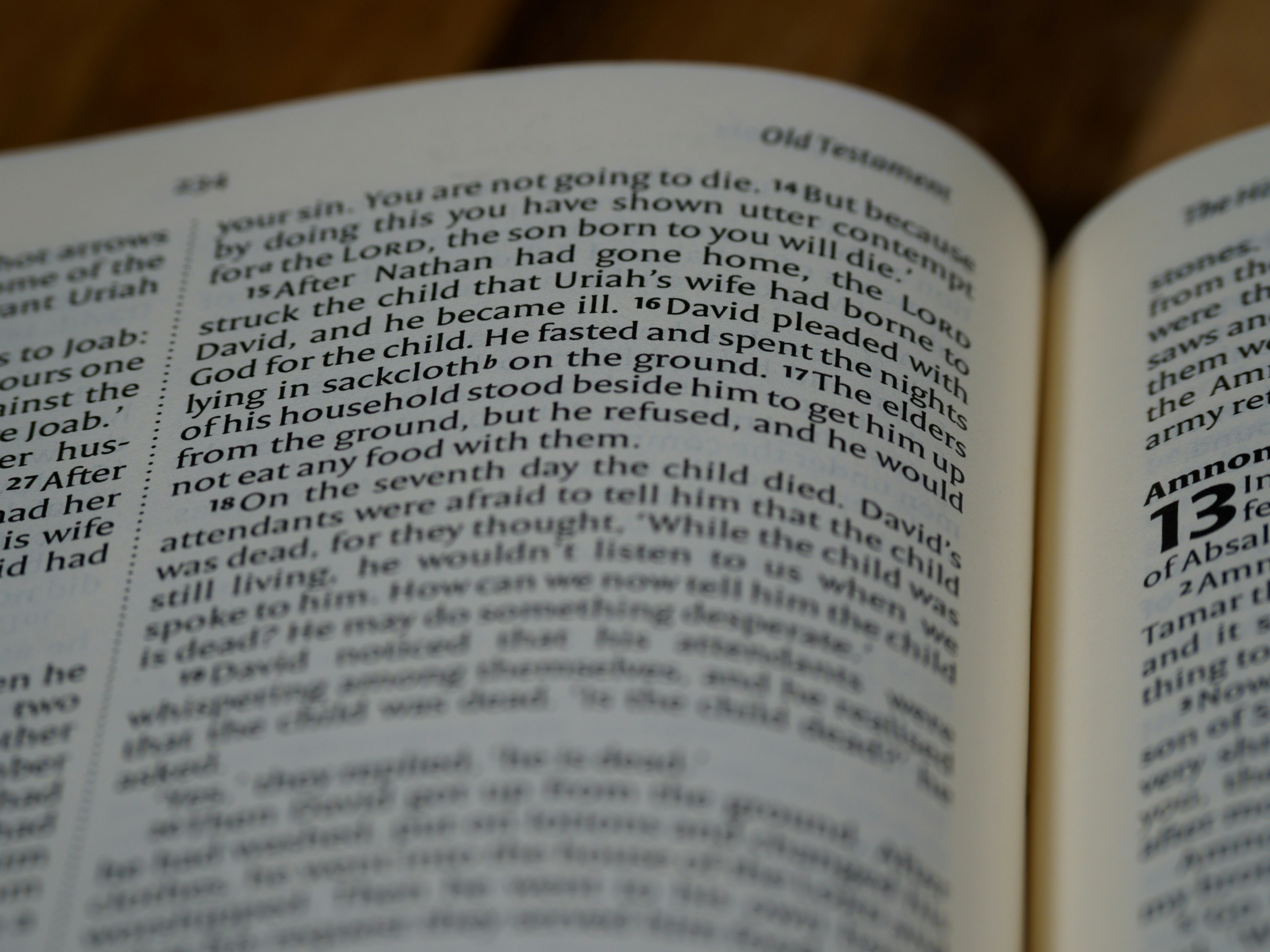 Photo by brett_jordan