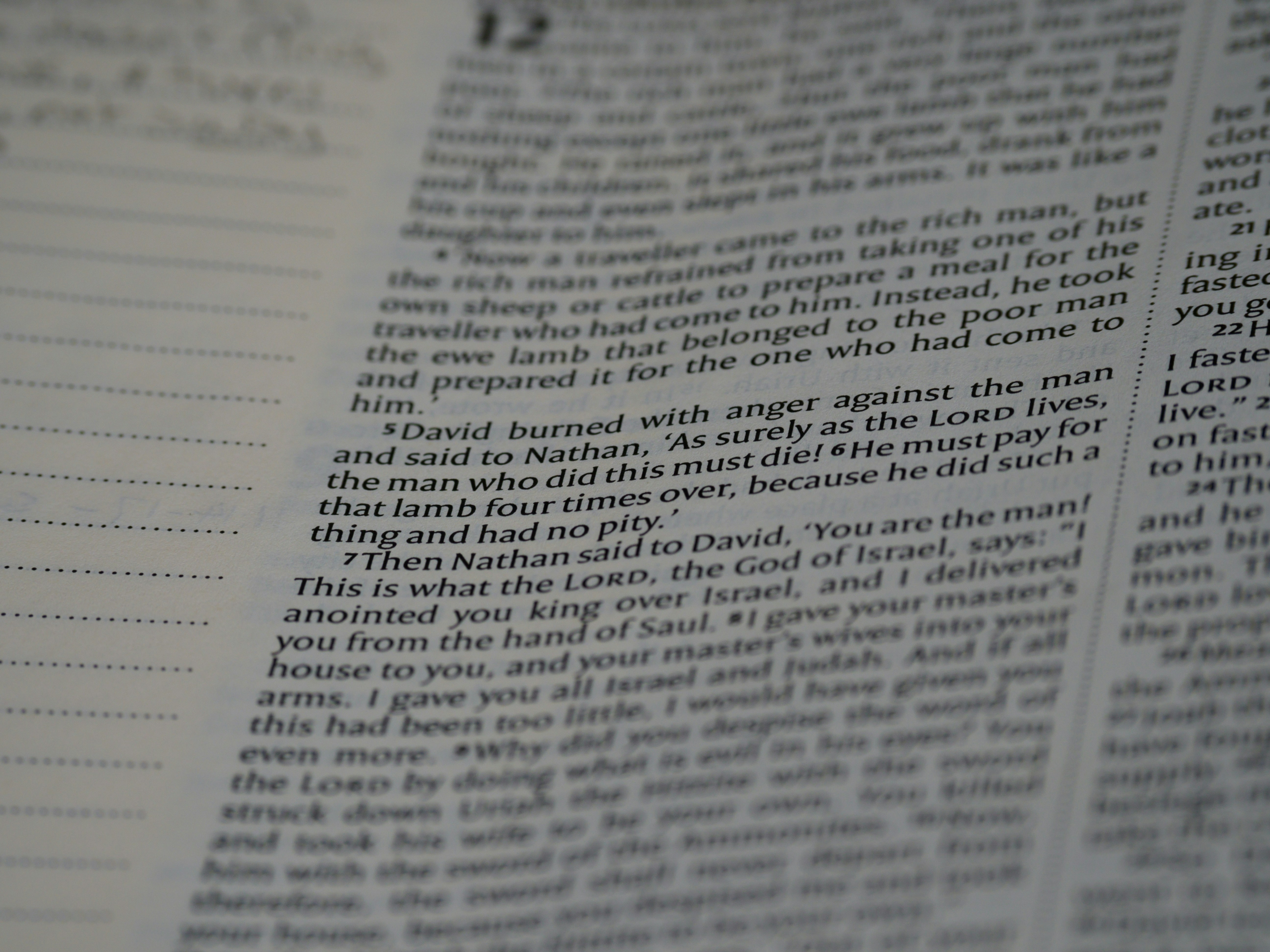 Photo by brett_jordan