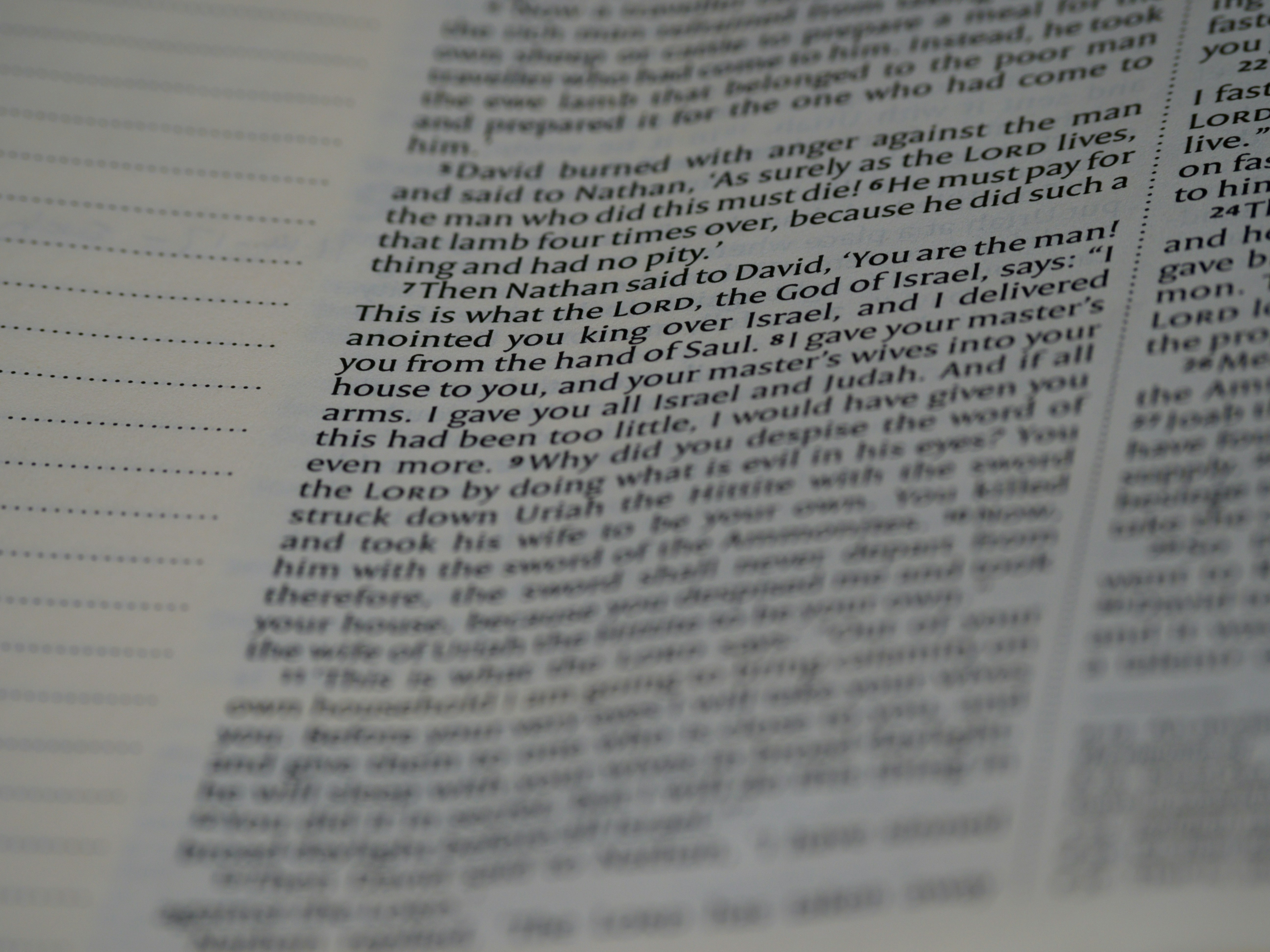 Photo by brett_jordan