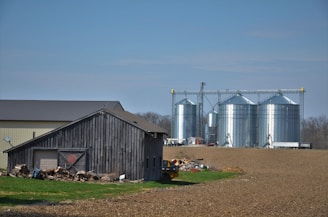 A rural landscape features a large barn with weathered wood and a metal roof in the foreground, surrounded by piles of chopped wood and debris. In the background, several large, silver grain silos stand prominently against a clear blue sky, suggesting an agricultural setting.