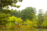 A serene landscape features a lush, vibrant garden with a variety of green trees and plants surrounding a calm body of water. In the middle of this natural setting, a small traditional Japanese tea house is partially visible, adding a cultural element to the tranquil scene.