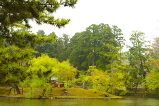 A group of travelers enjoying a traditional Japanese tea ceremony in a serene garden.