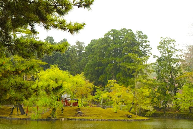 A serene landscape features a lush, vibrant garden with a variety of green trees and plants surrounding a calm body of water. In the middle of this natural setting, a small traditional Japanese tea house is partially visible, adding a cultural element to the tranquil scene.
