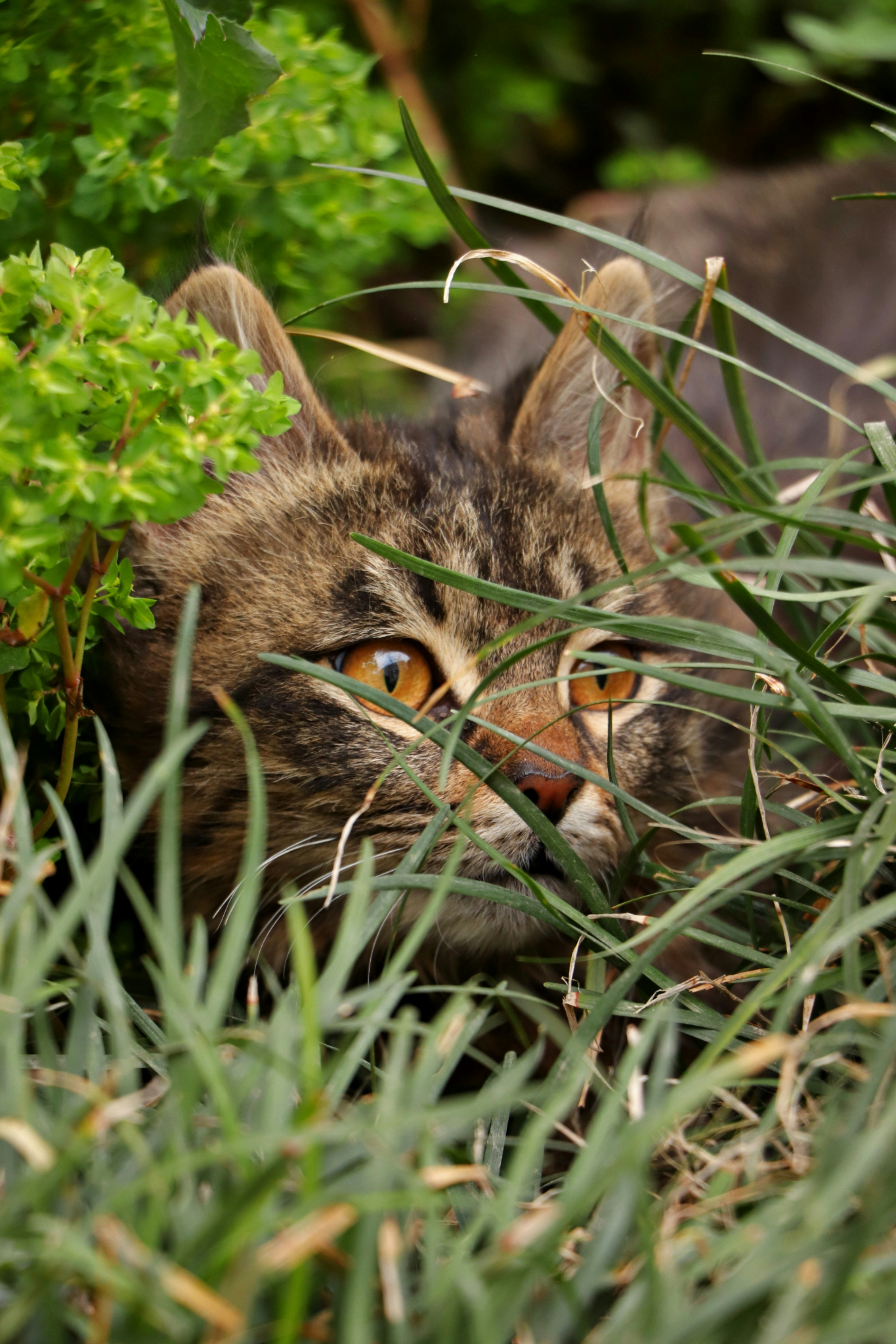 Photo by mahyar_mirghasmi