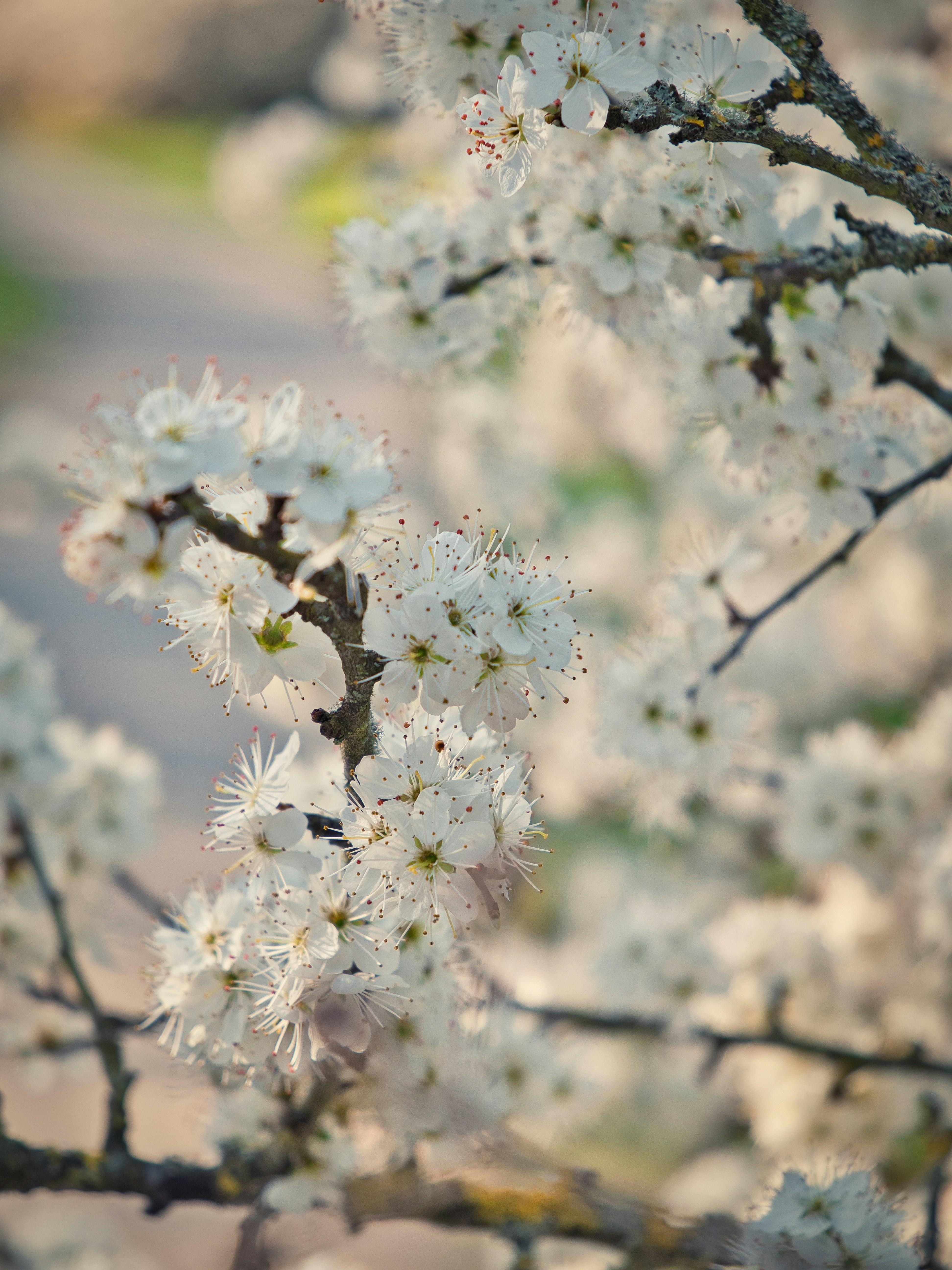 Photo by daymnous