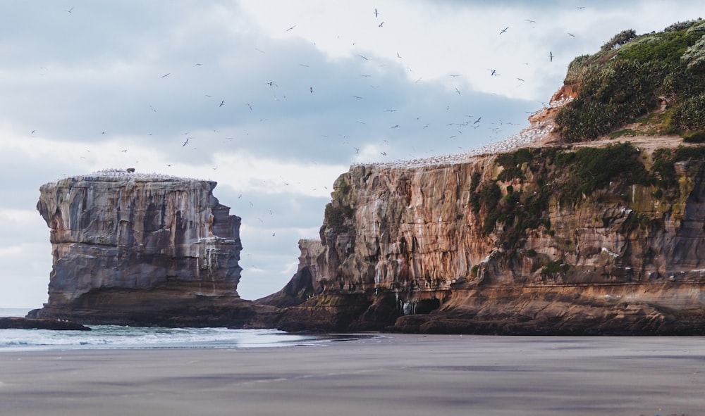 birds flying over the sea during daytime