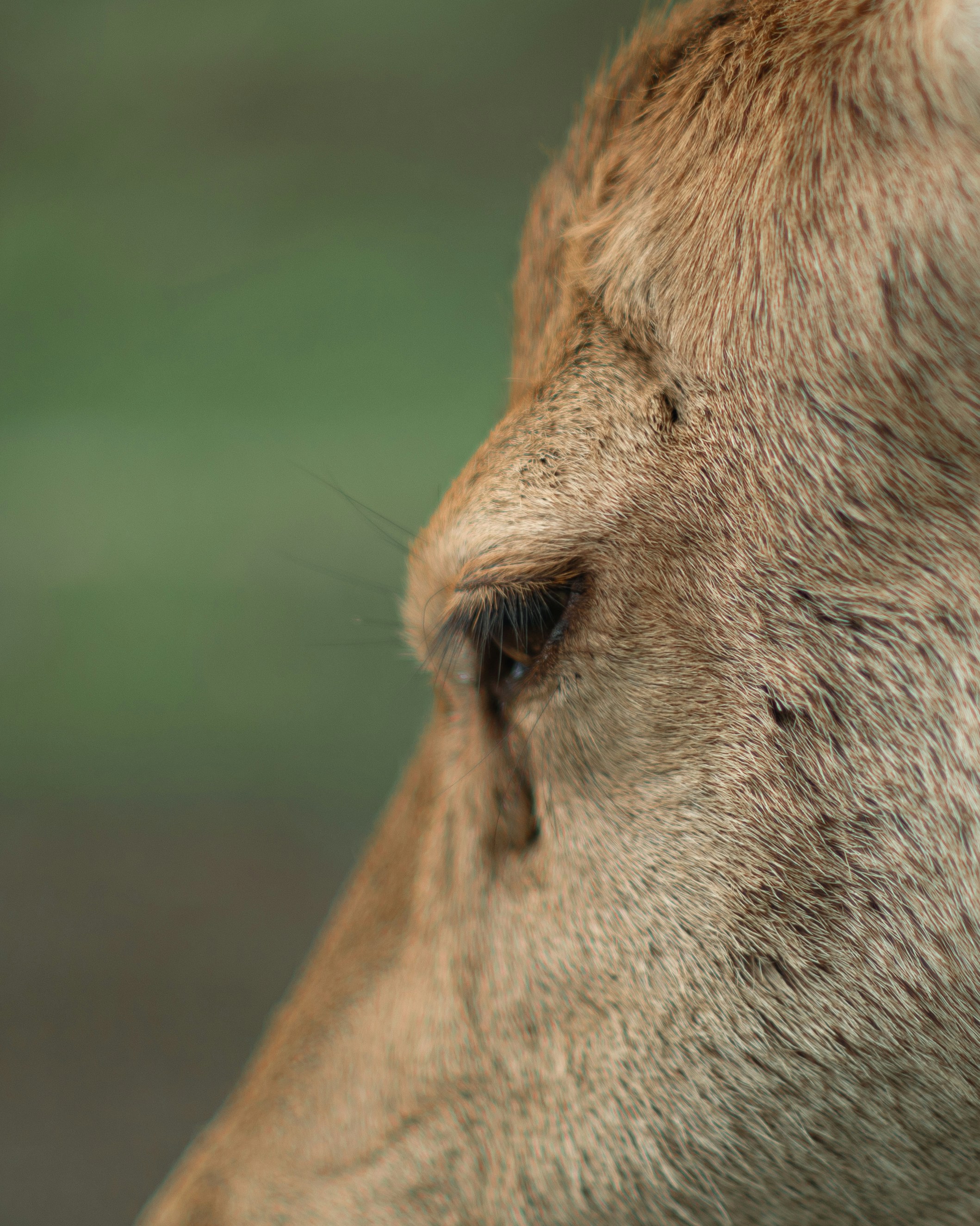 Photo by isaacburkevideo