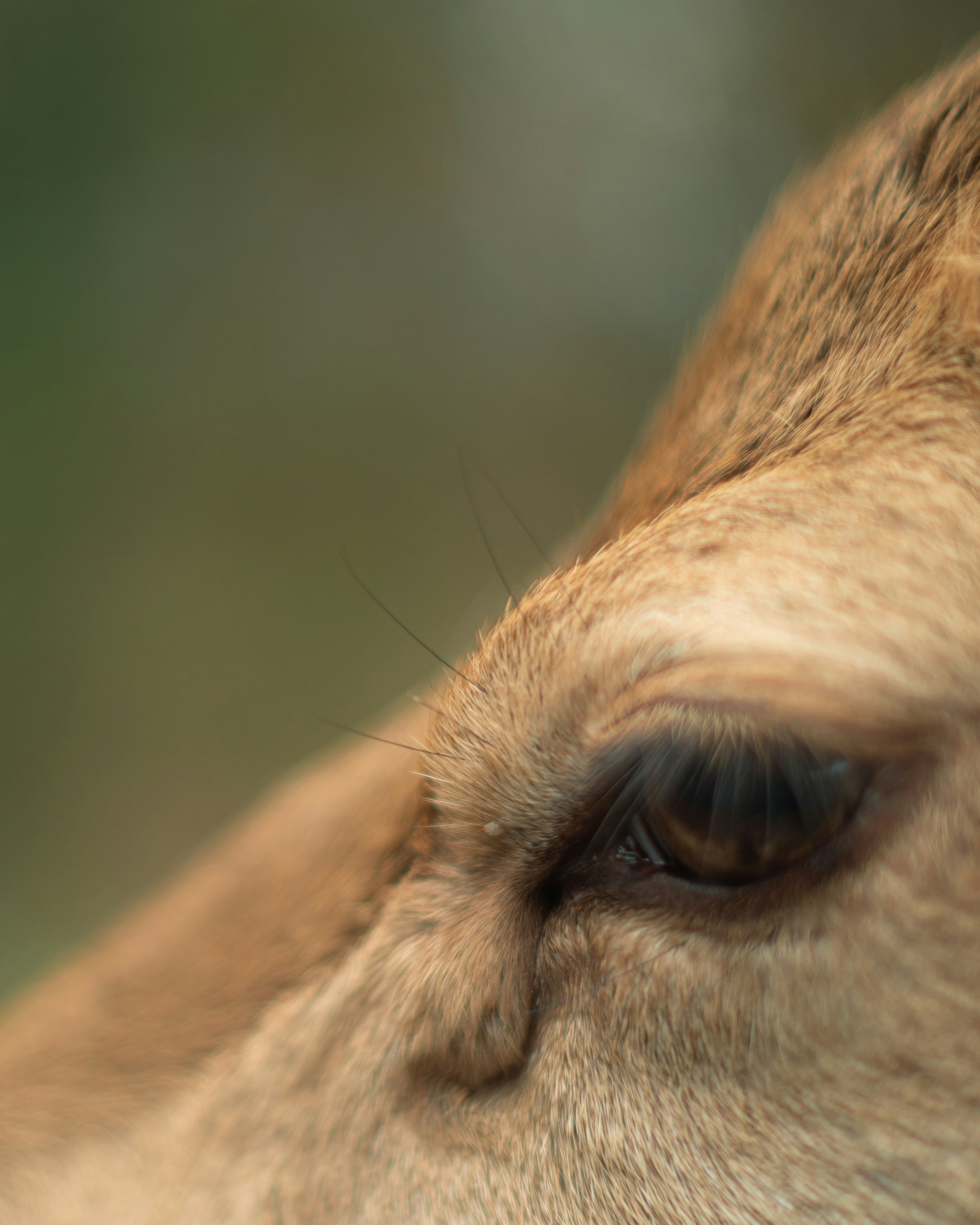 Photo by isaacburkevideo