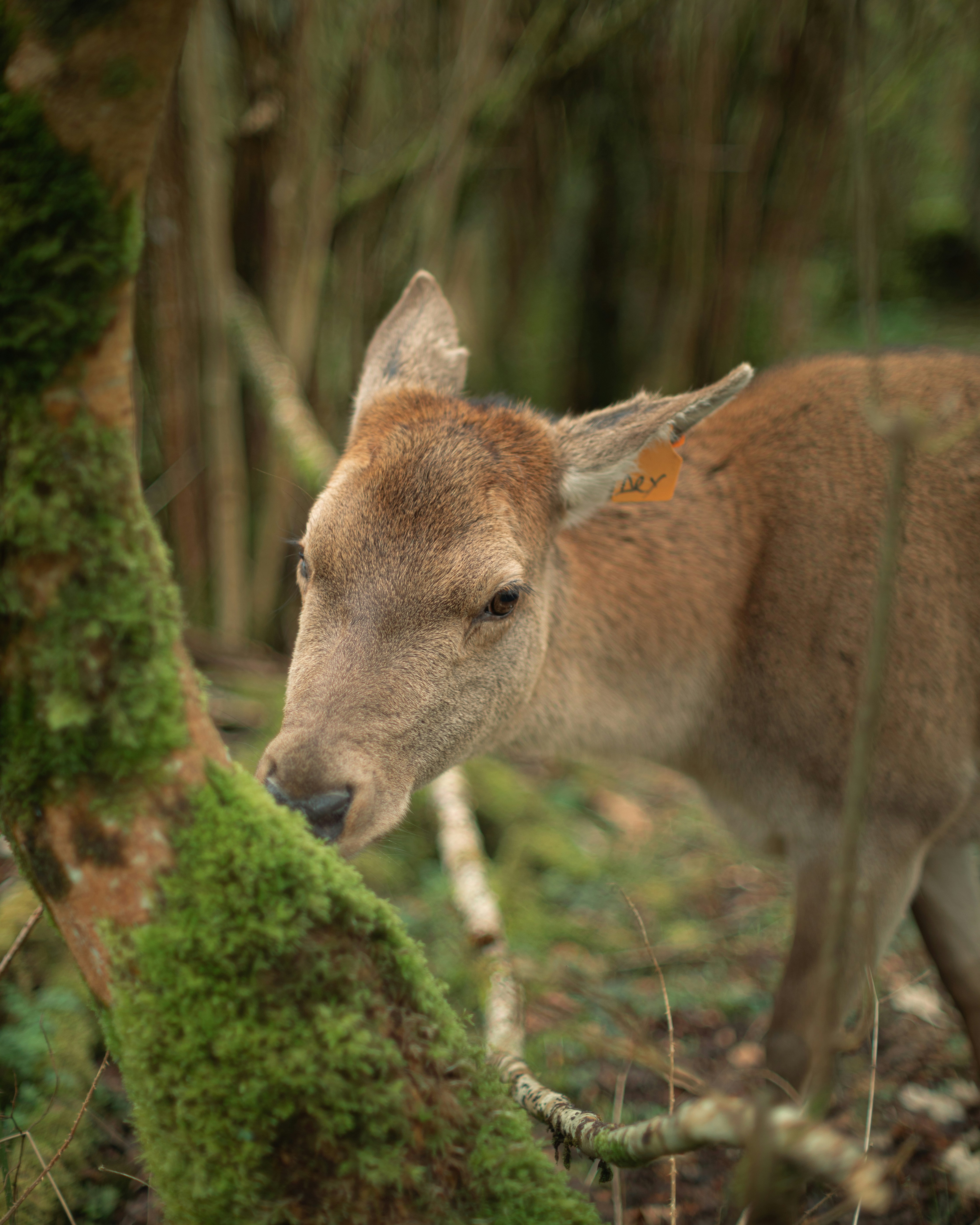 Photo by isaacburkevideo