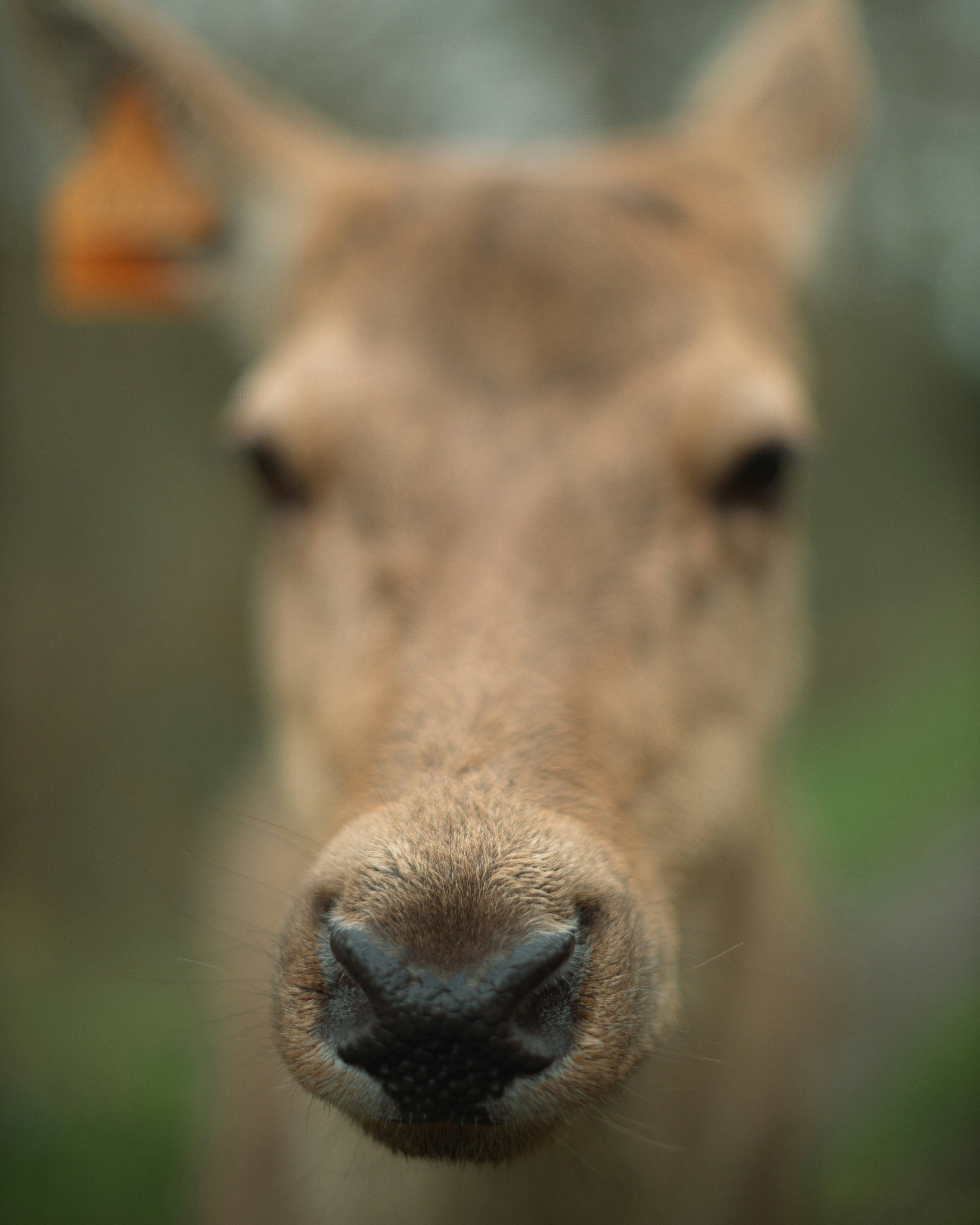 Photo by isaacburkevideo