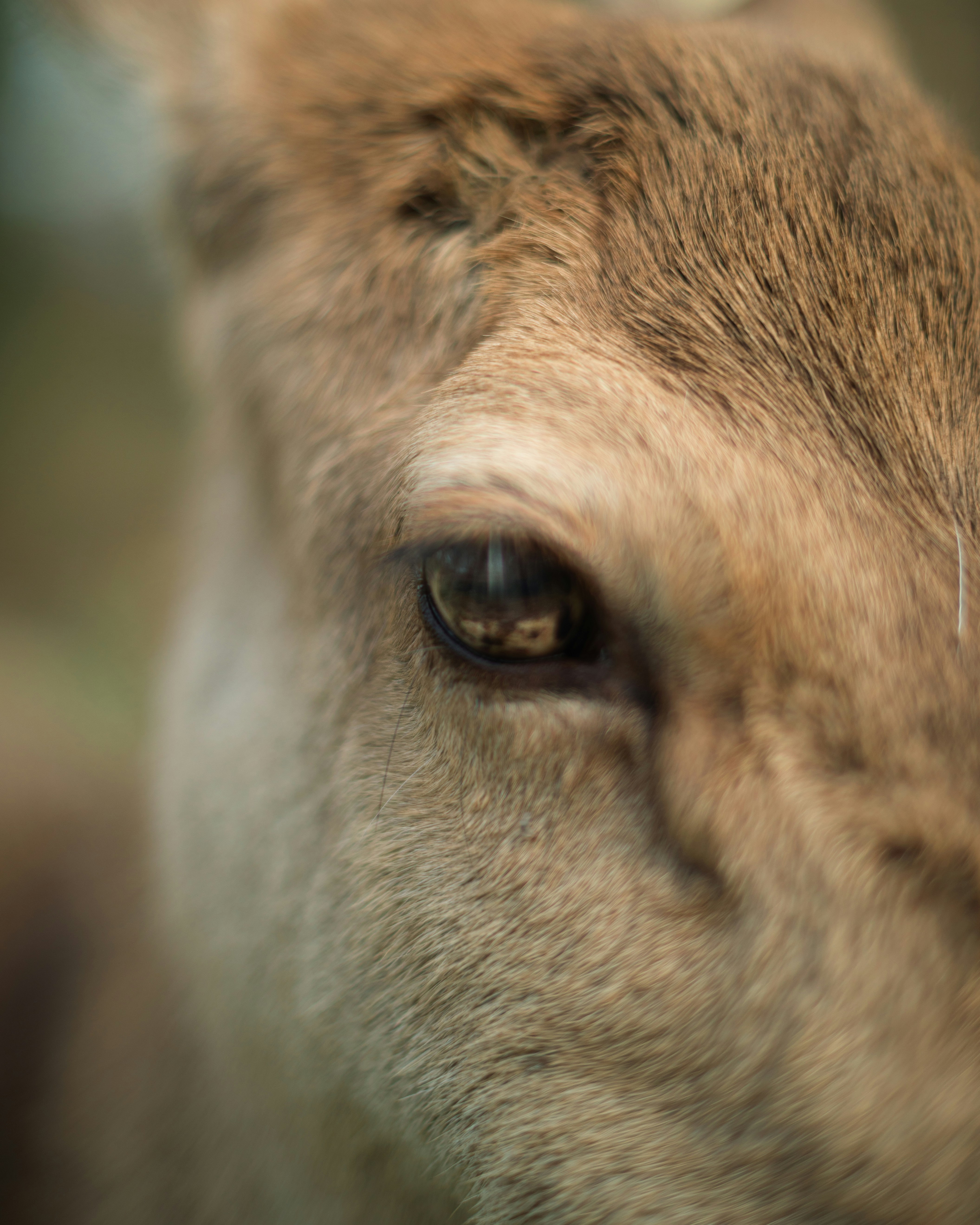 Photo by isaacburkevideo