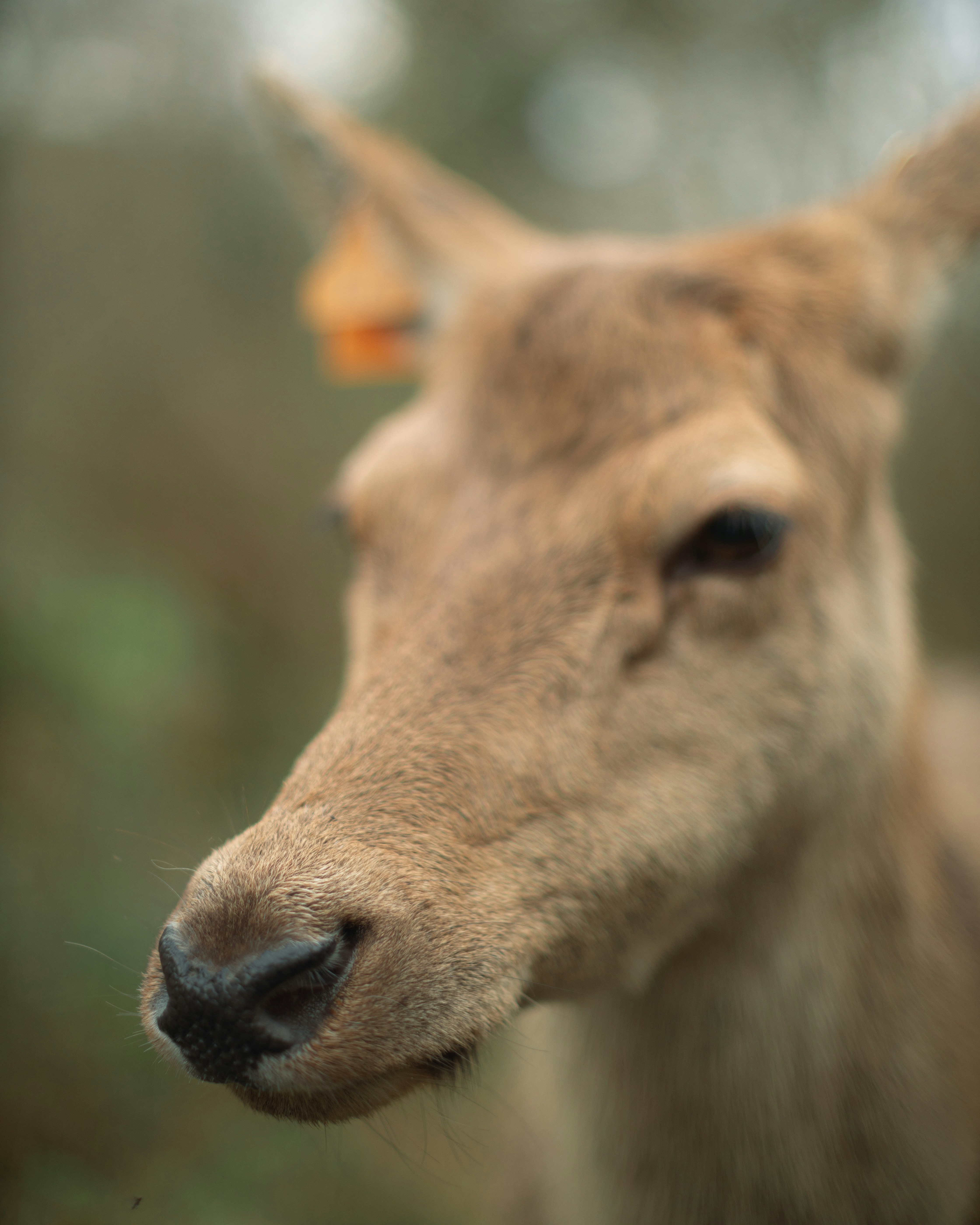 Photo by isaacburkevideo