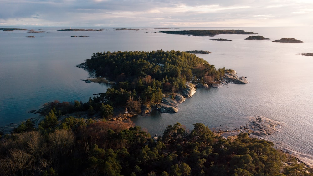 alberi verdi vicino allo specchio d'acqua durante il giorno