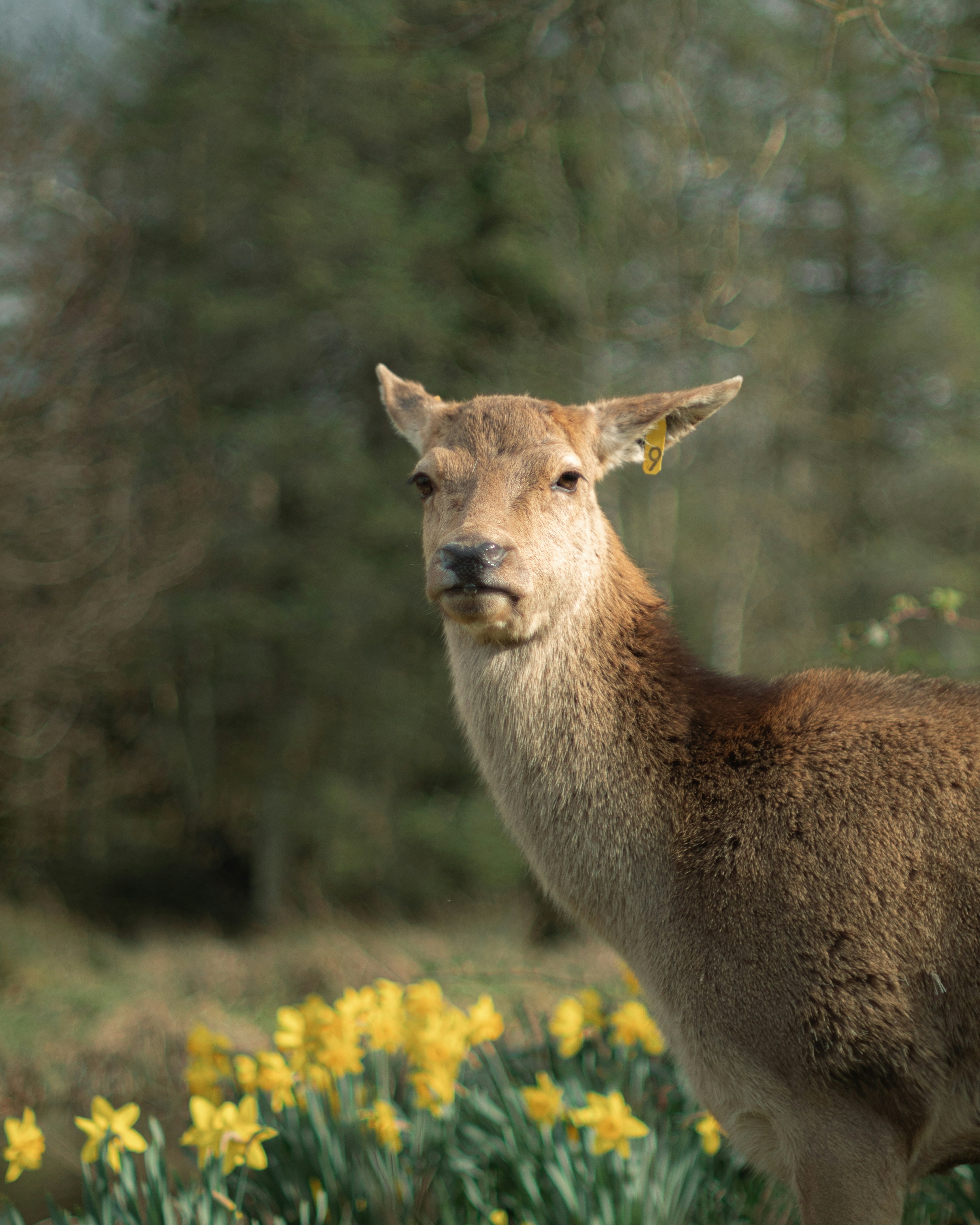 Photo by isaacburkevideo