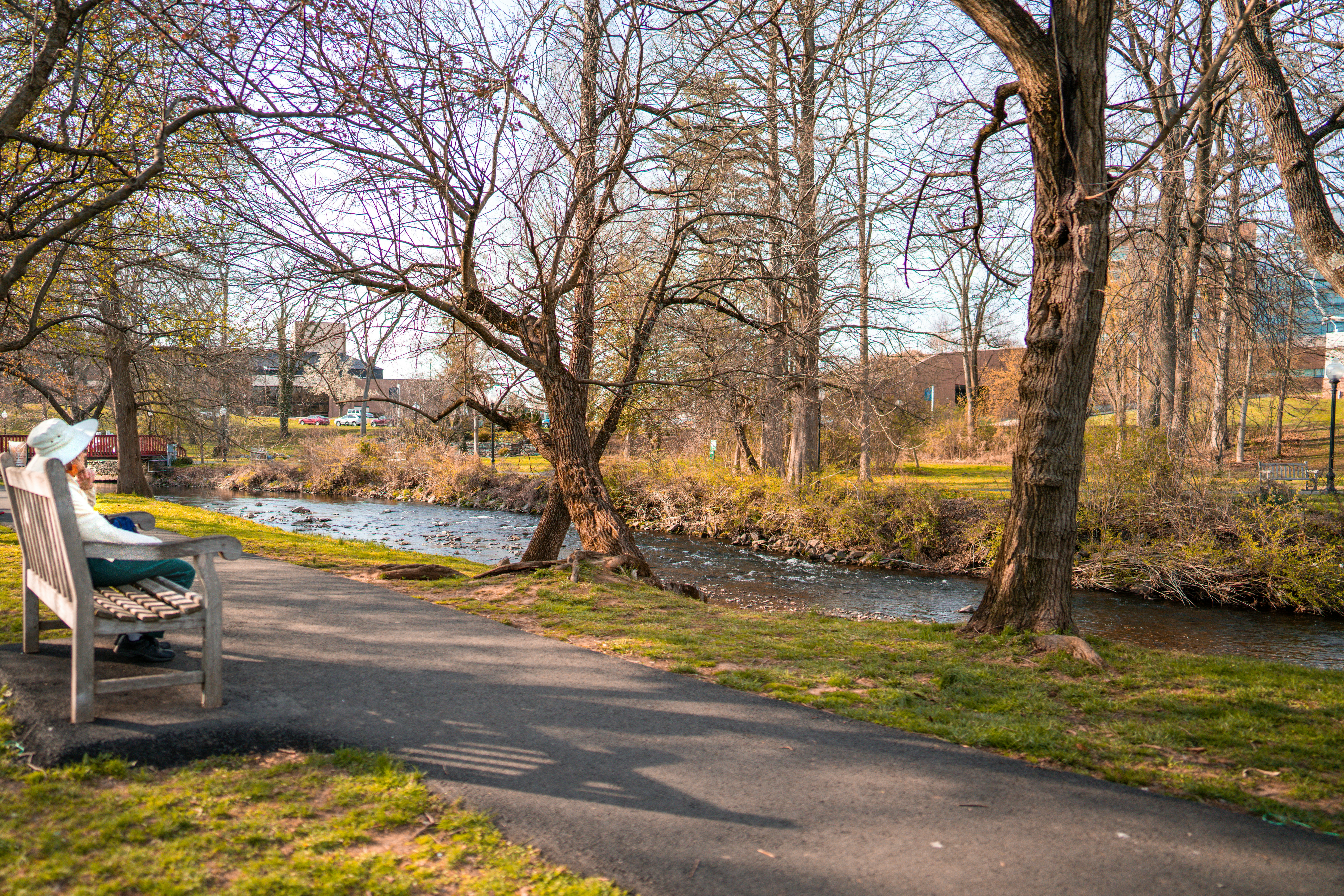 Ashe County Park