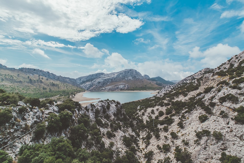 árboles verdes en la montaña cerca del cuerpo de agua durante el día