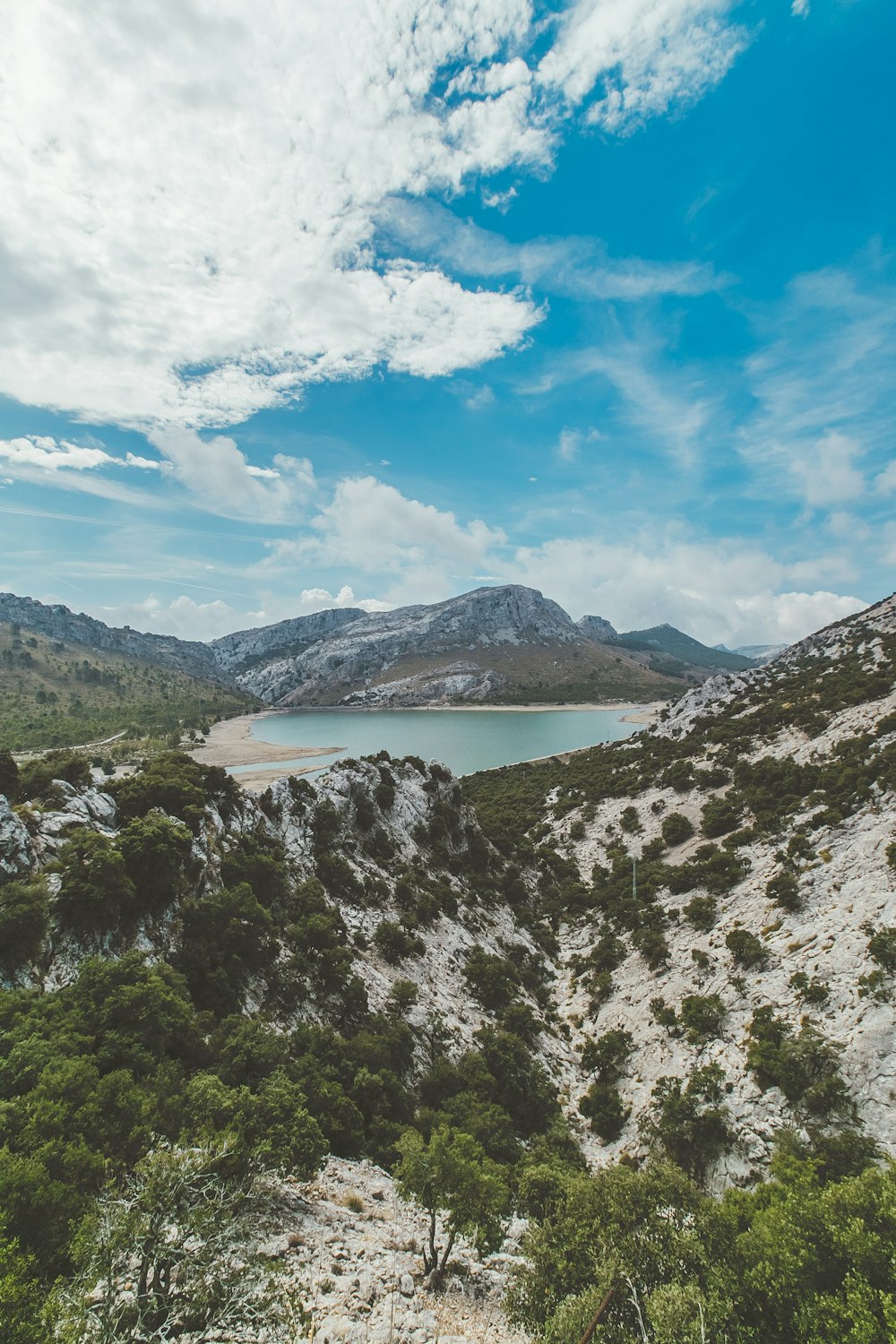 árboles verdes en la montaña bajo el cielo azul durante el día