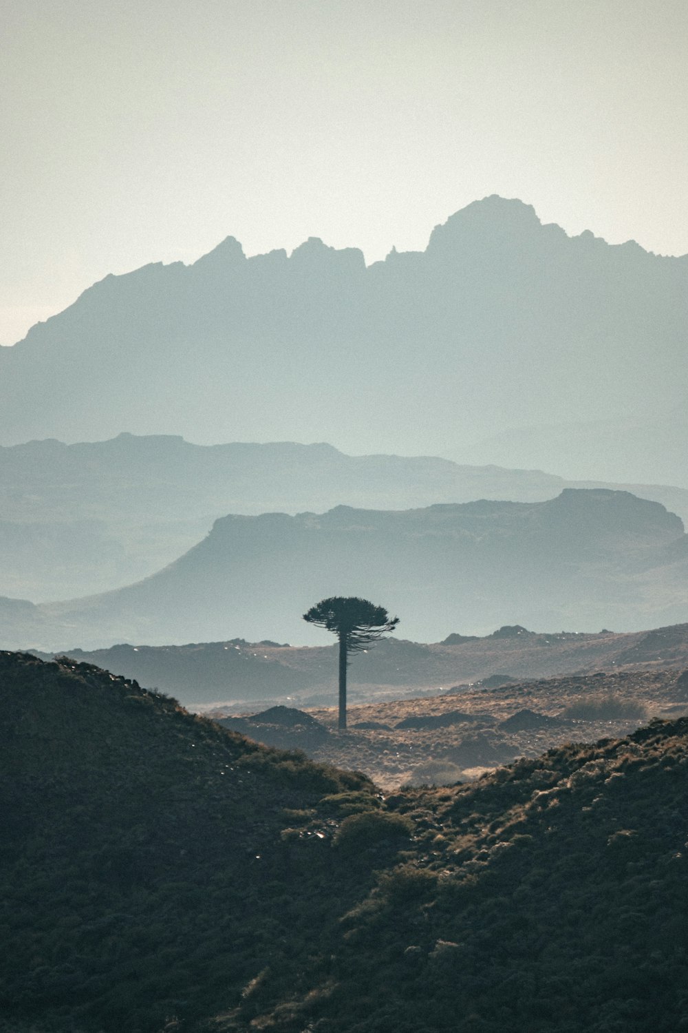 black and white round stand on brown field during daytime