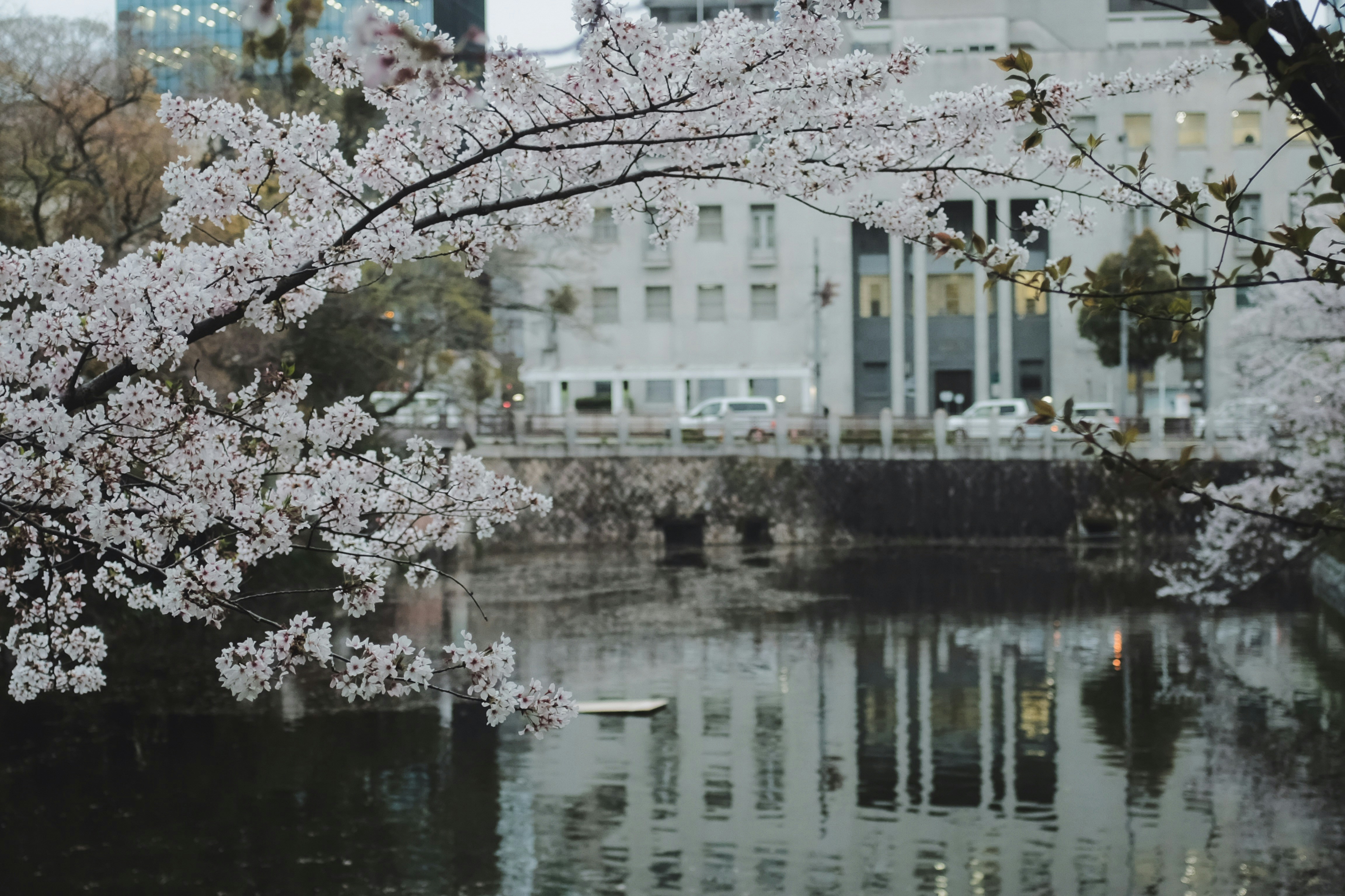Photo by mak_jp