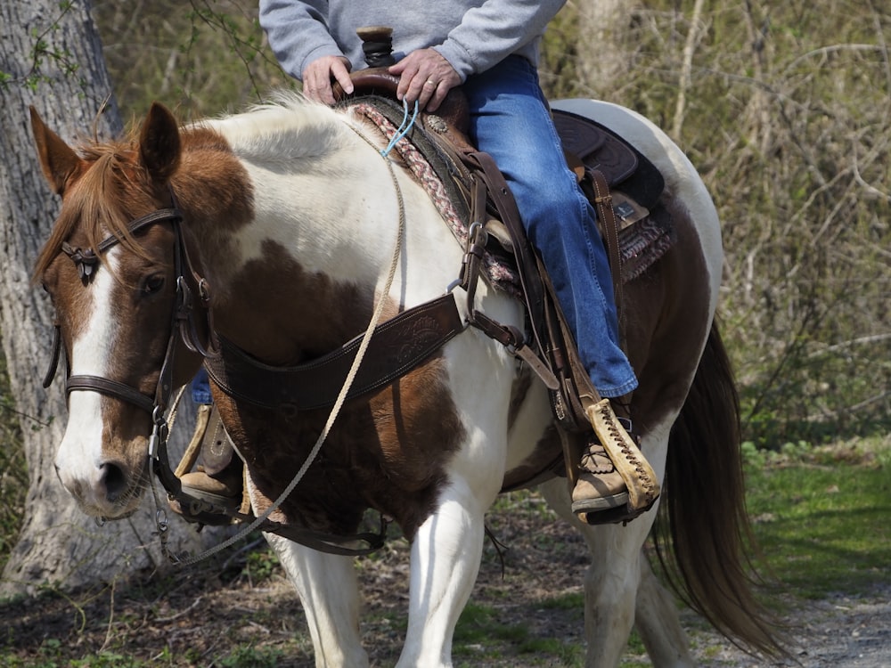 person in blue denim jacket riding brown horse during daytime
