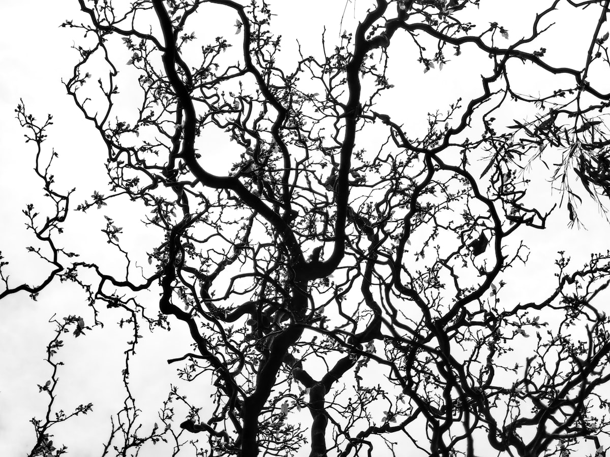 Abstract neural pathways illuminated against a dark background, representing the brain rebuilding itself