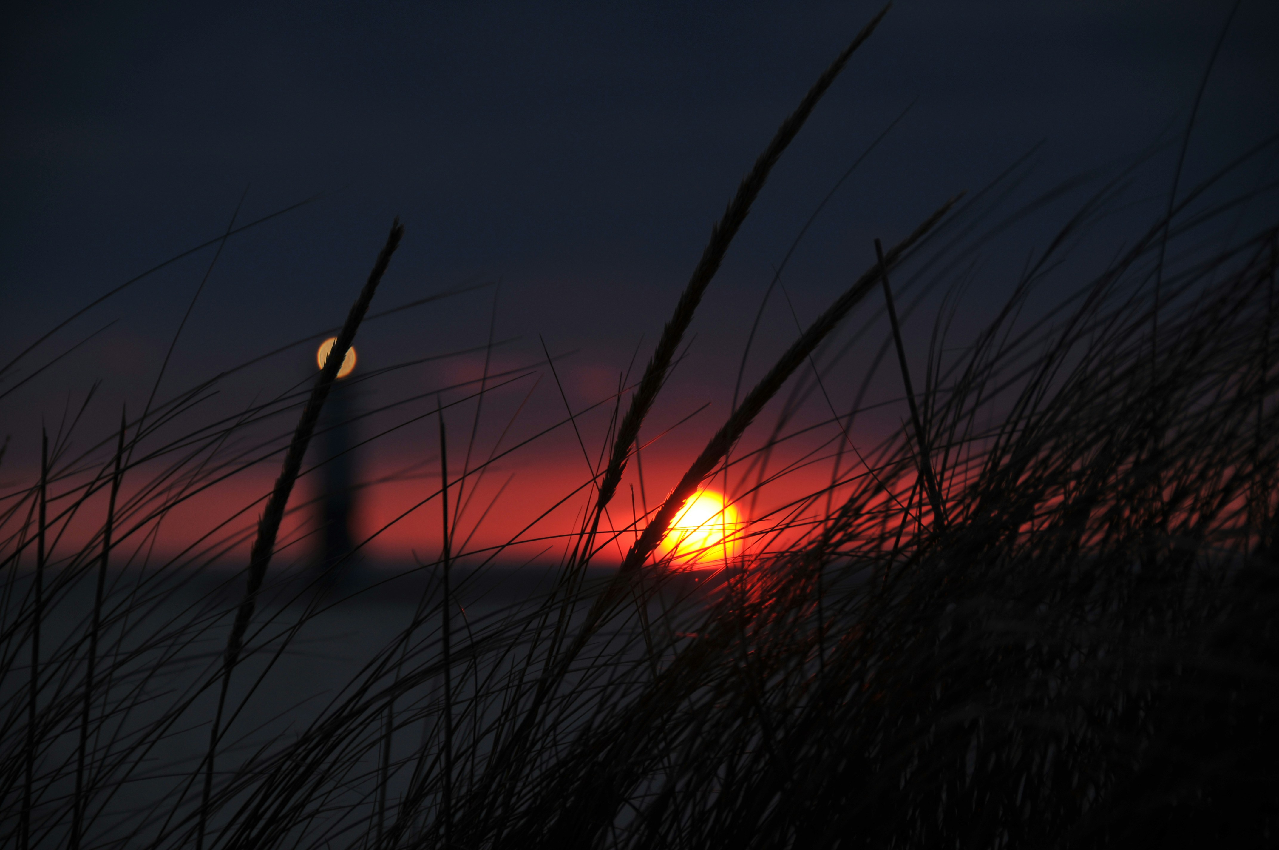 Photo by lbkimball67