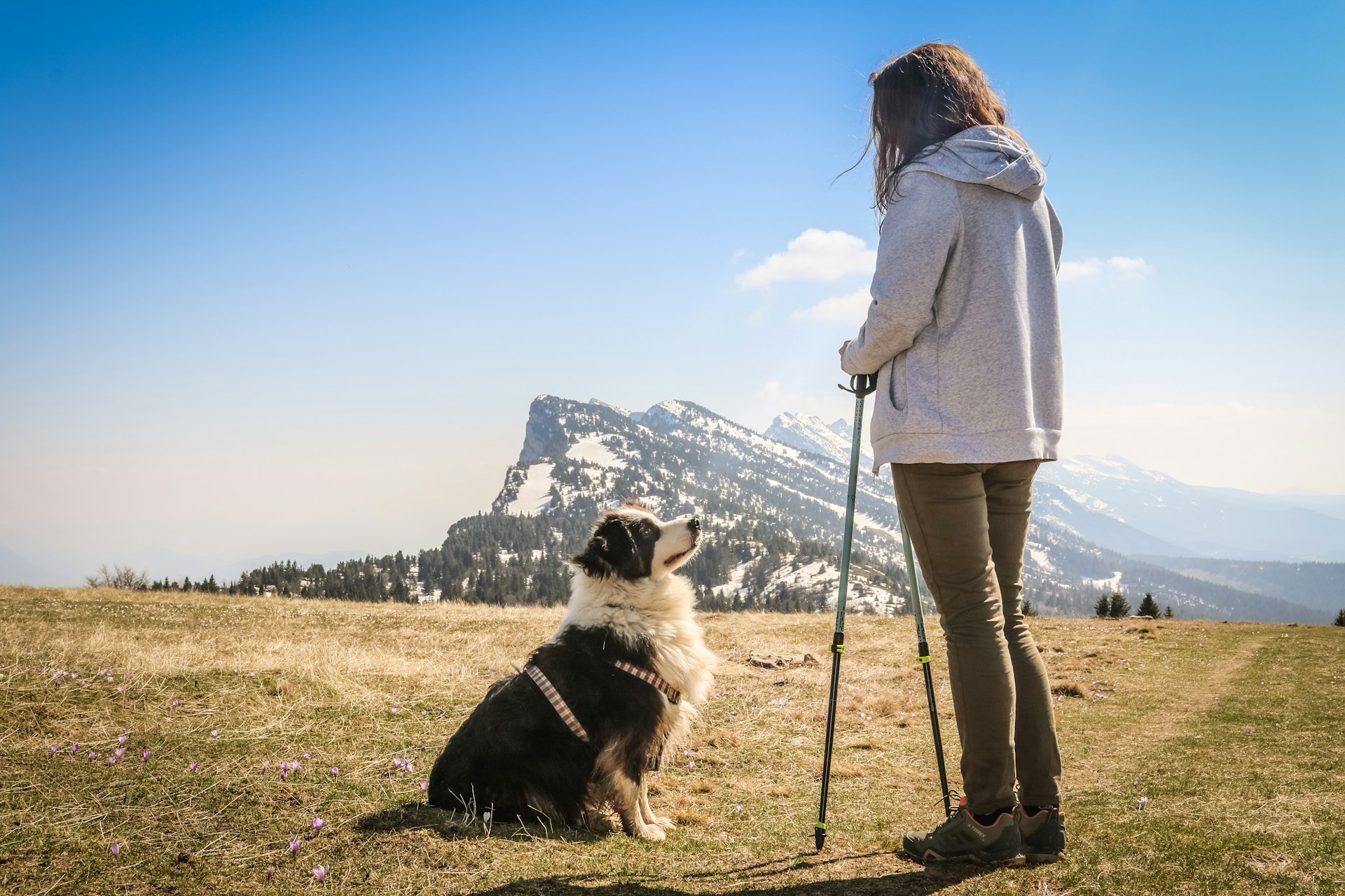 woman in white coat standing beside black and white dog on green grass field during daytime