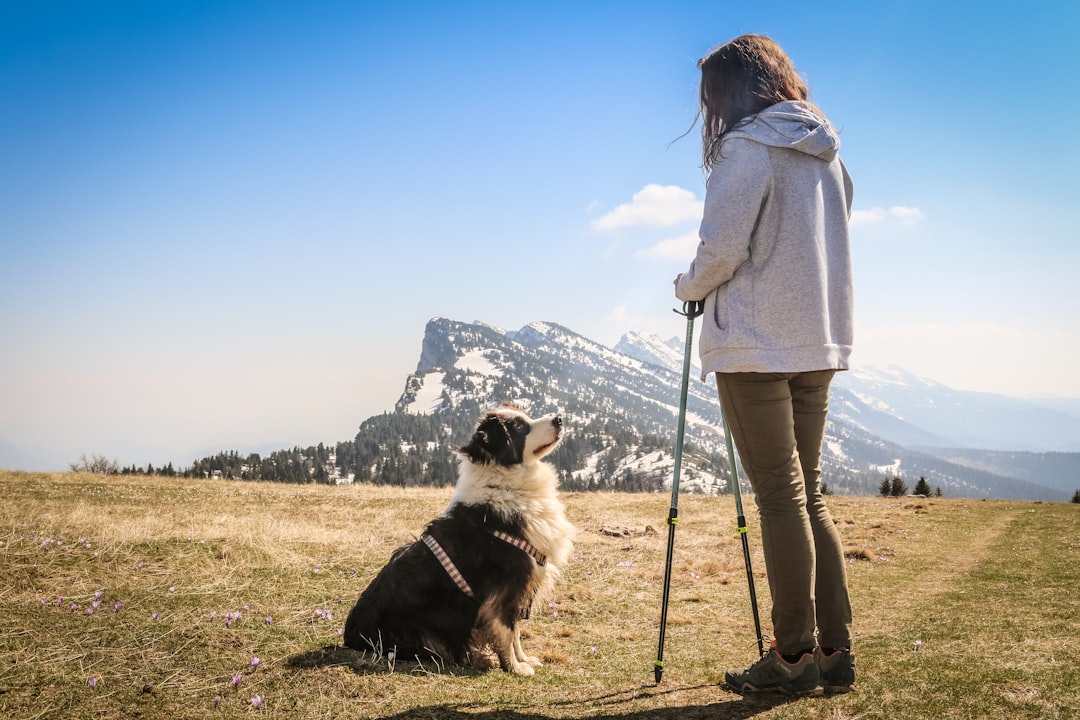 Hiking with Fluffy: An Adventure in the Great Outdoors with Your Furry Friend