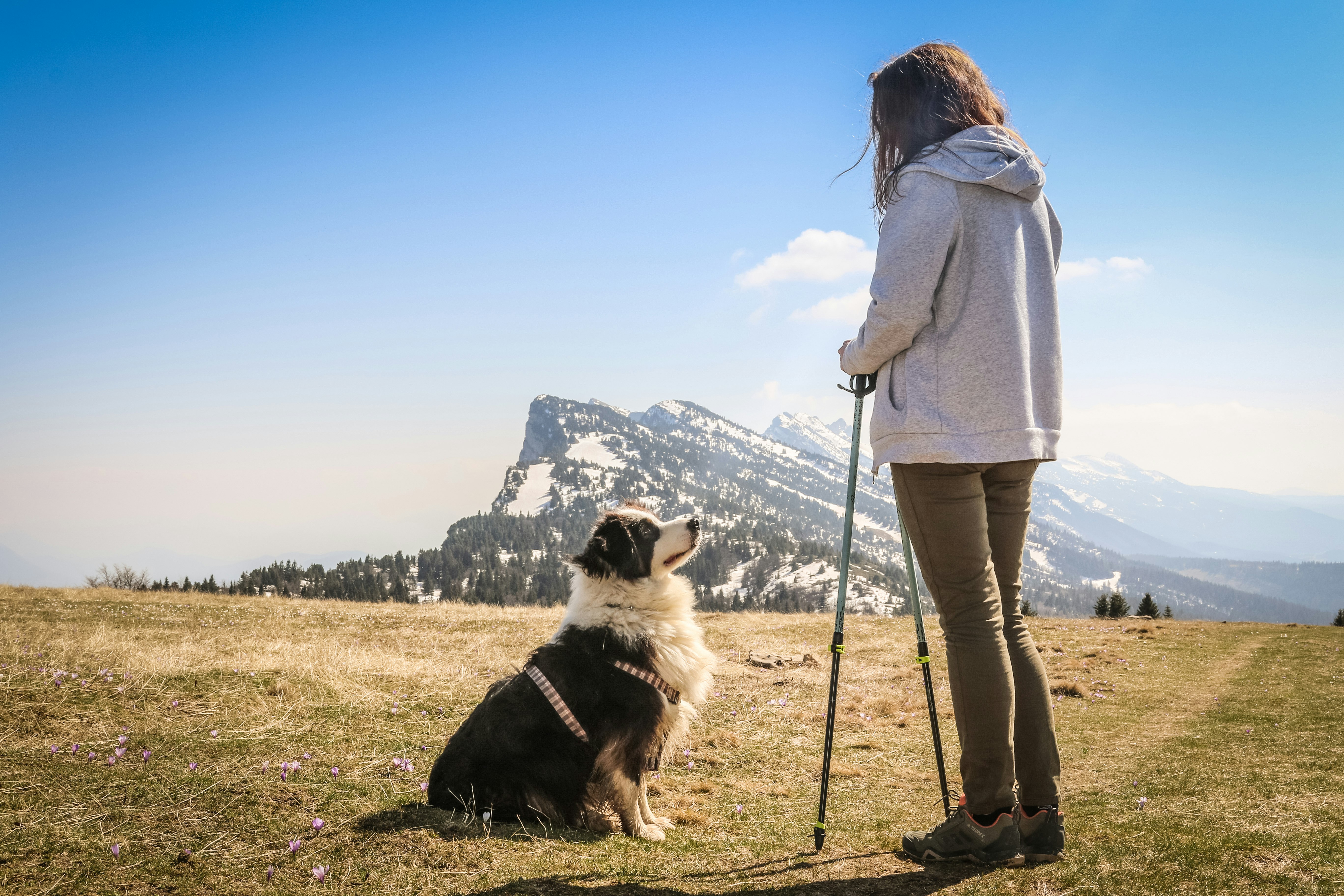 woman in white coat standing beside black and white dog on green grass field during daytime