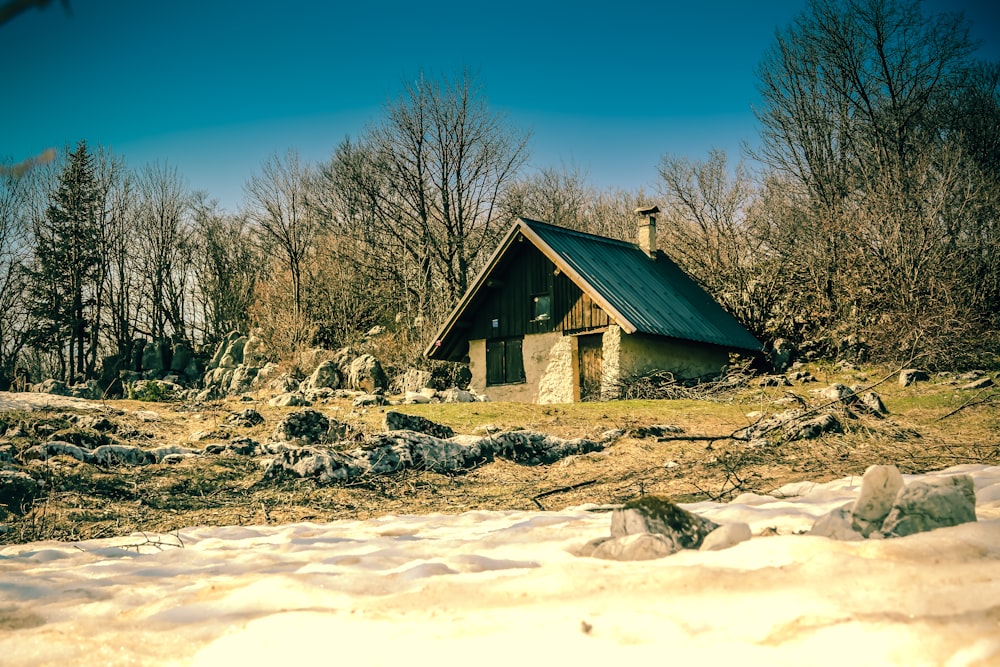 Braunes Holzhaus in der Nähe von kahlen Bäumen unter blauem Himmel tagsüber