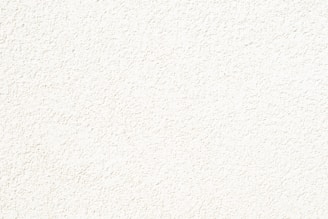 white wall paint with black line