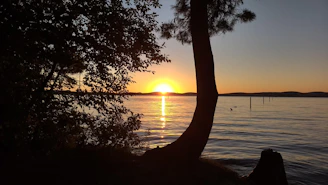 A warm sunset casting golden light over a calm lake with silhouetted trees.