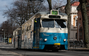 A classic tram making its way along tree-lined urban streets.