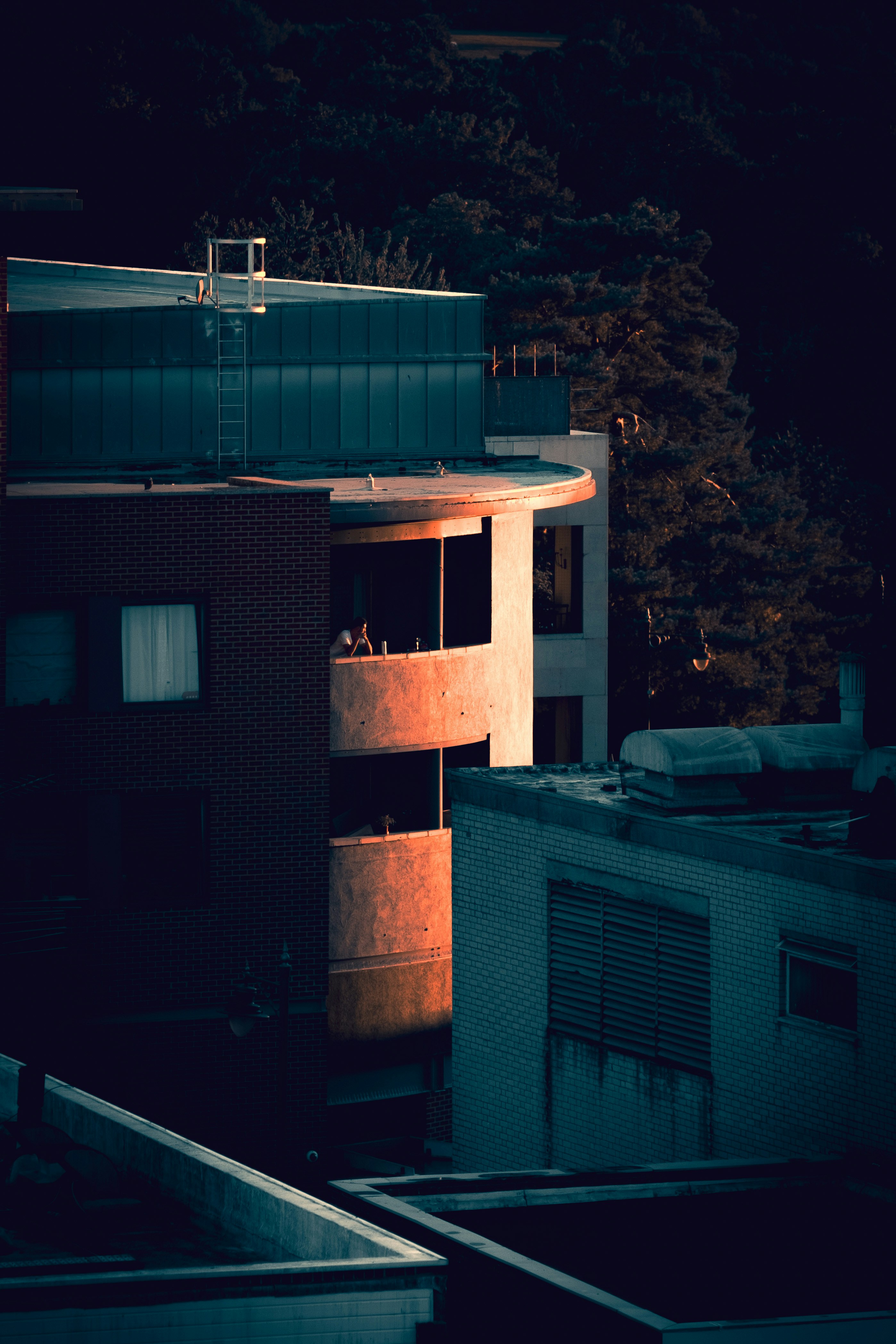 Photo by digitalsolacism