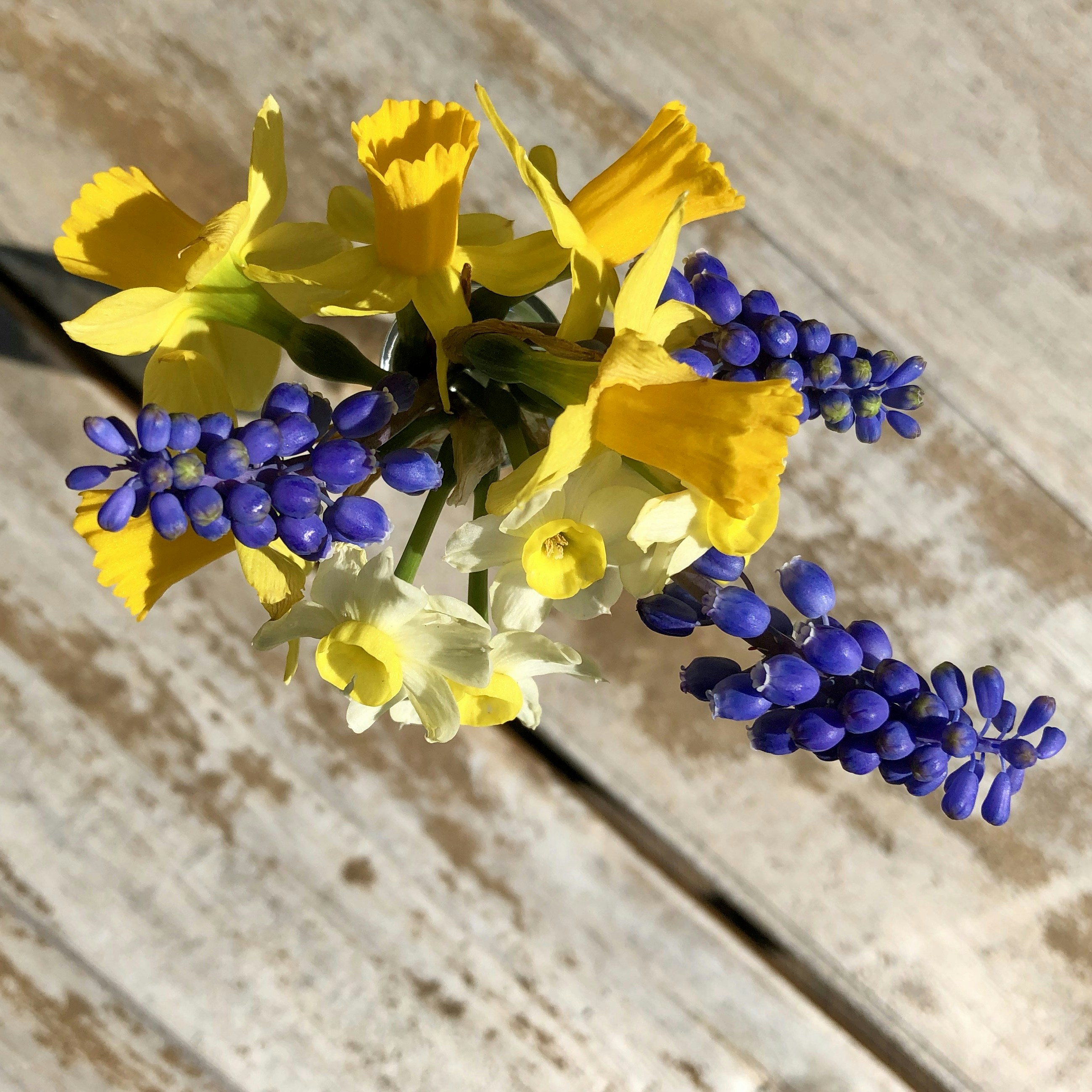 Buchet primavaratic cu narcise si zambile pentru cadouri