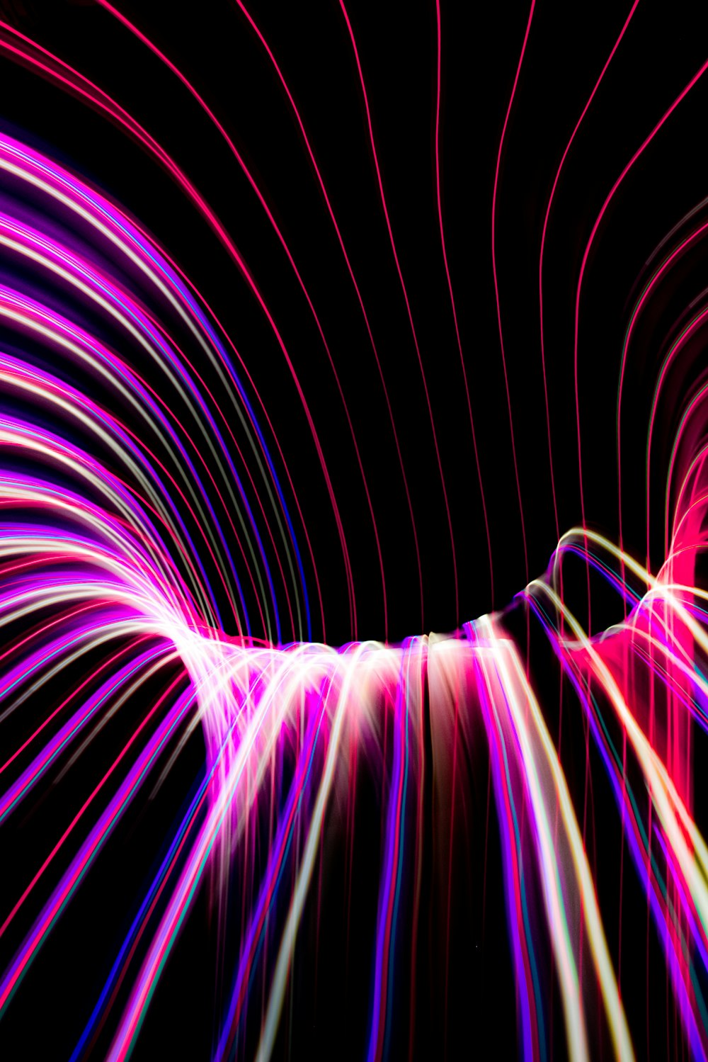 purple and pink light illustration